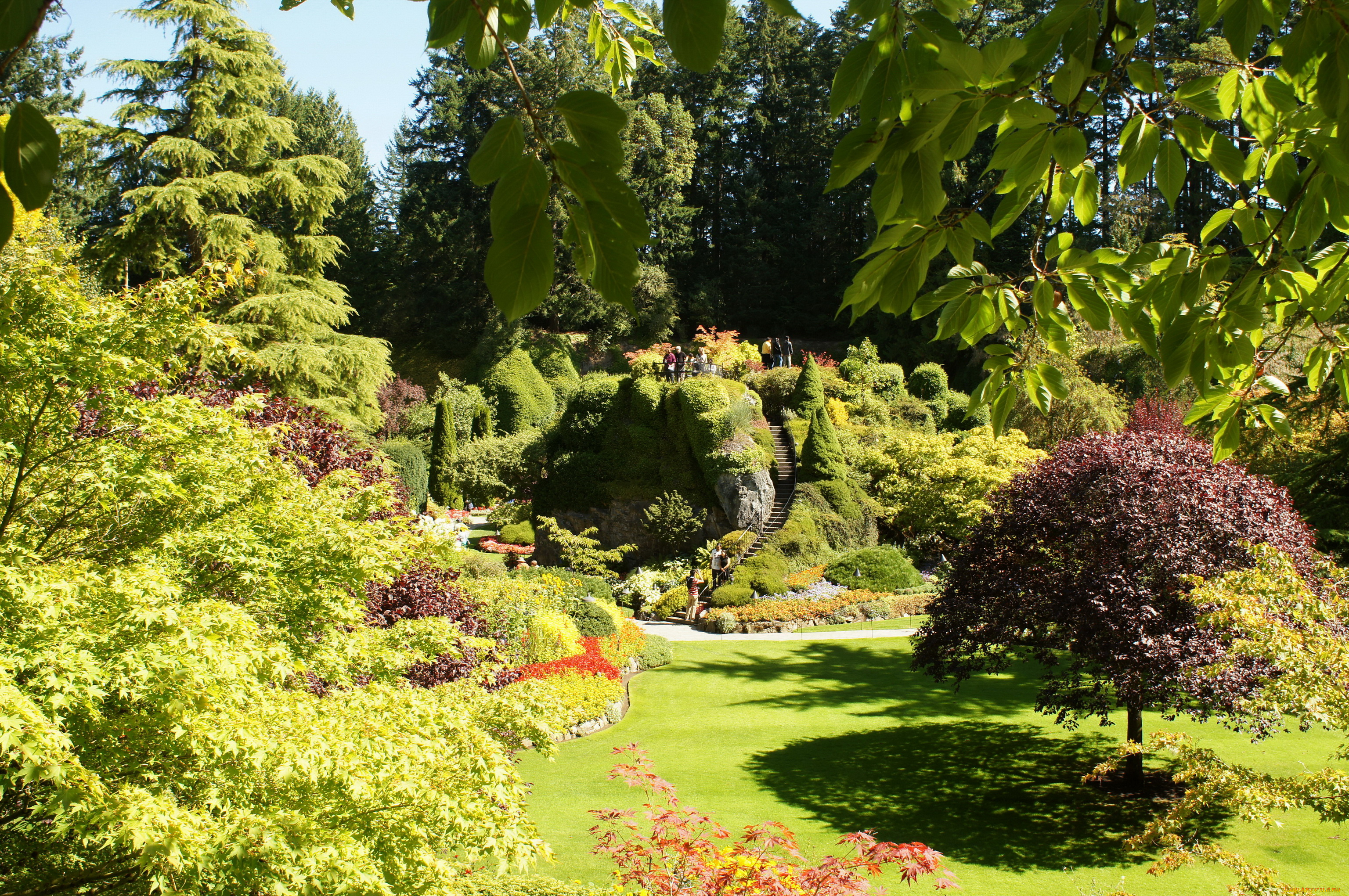 butchart, gardens, victoria, канада, природа, парк, цветы, растения, дорожки, сад, клумбы