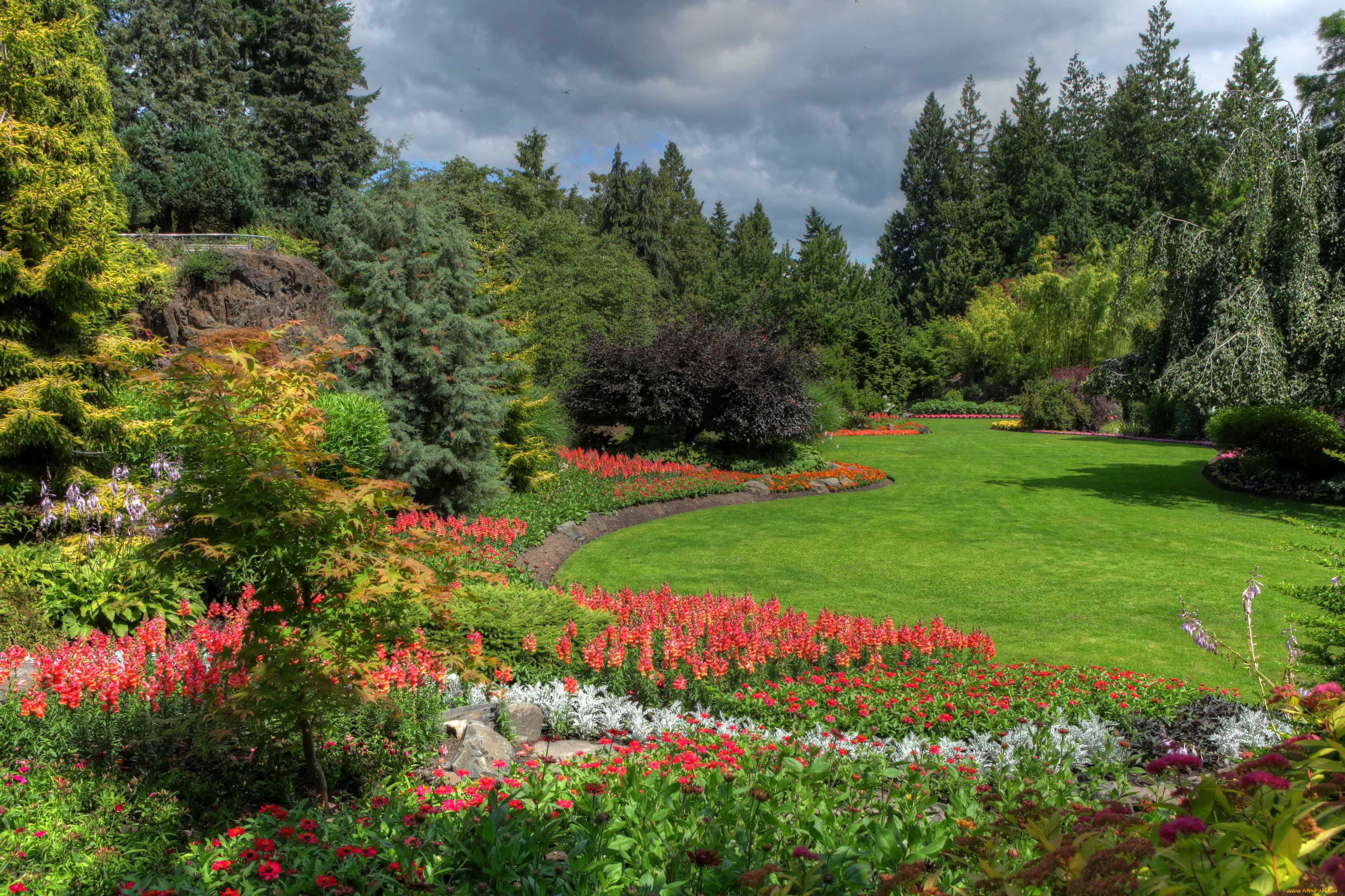 queen, elizabeth, park, vancouver, природа, парк, деревья, цветы