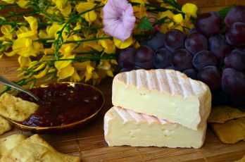 Картинка еда сырные+изделия сыр цветы