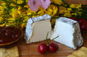 Картинка еда сырные+изделия сыр вишни