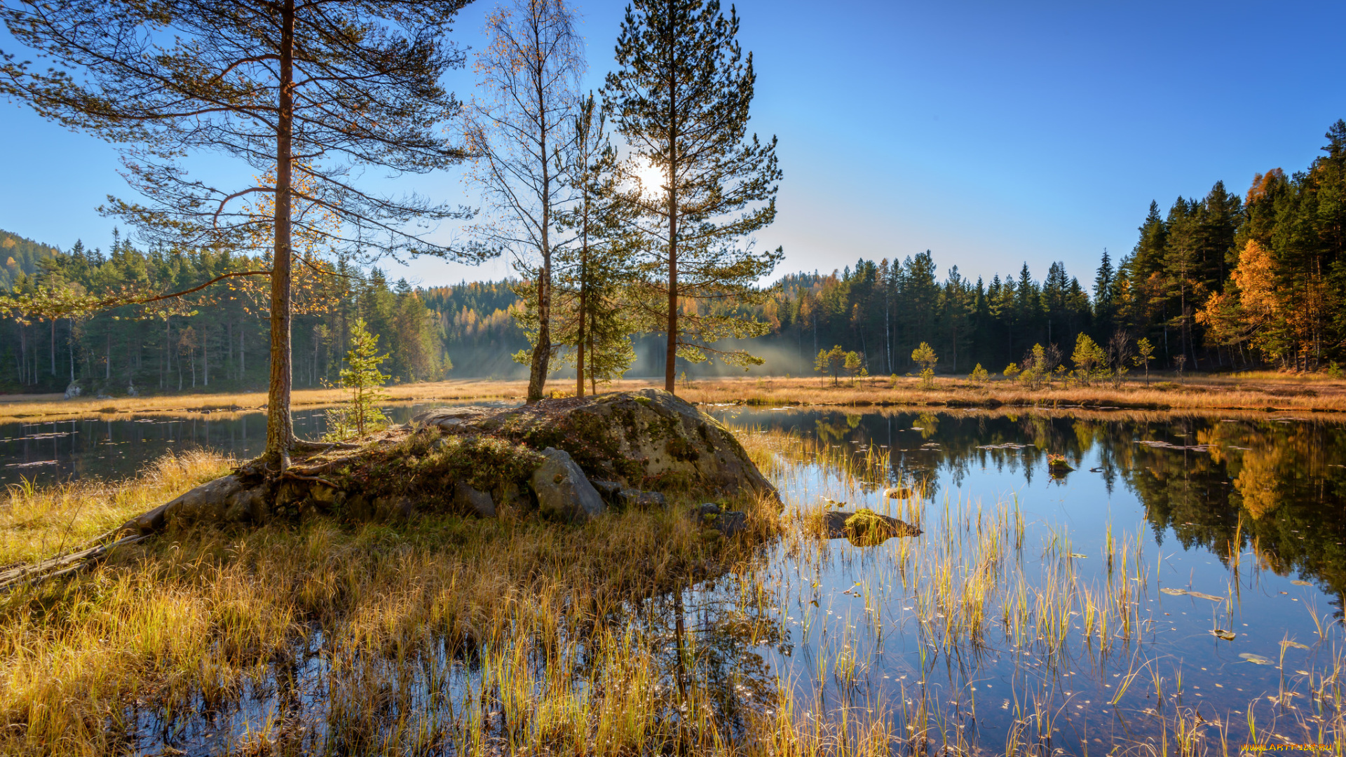 природа, реки, озера, река, лес