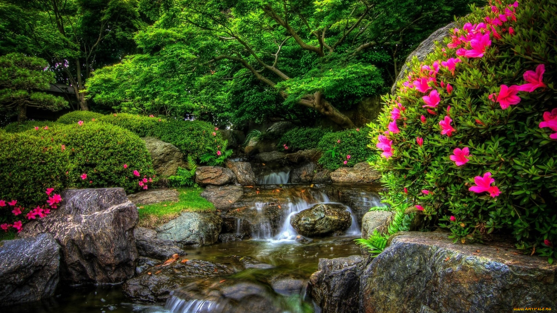 природа, парк, цветущие, кусты, водопад