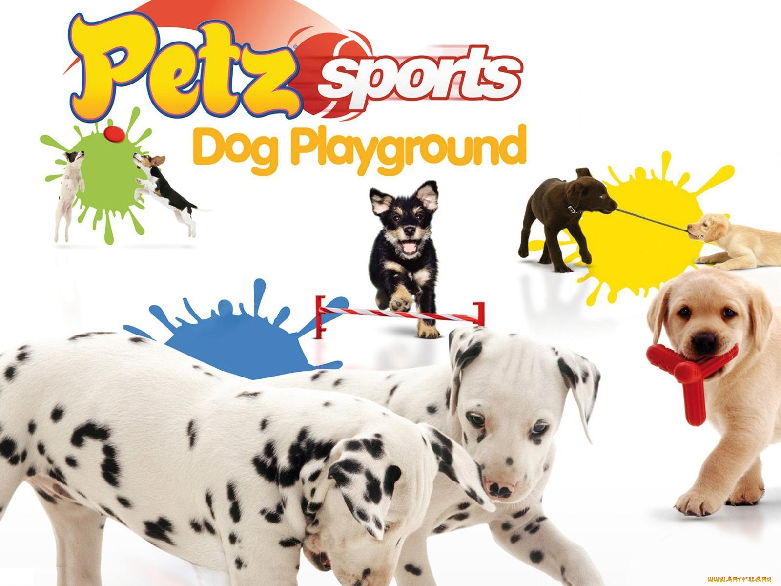petz, sports, dog, playground, видео, игры