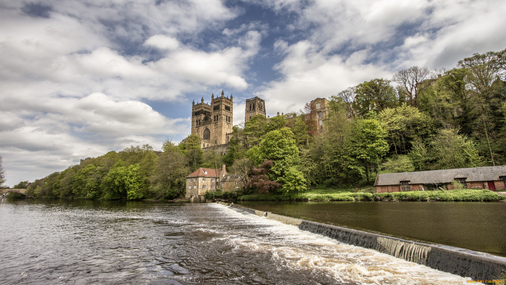 durham, cathedral, города, -, католические, соборы, , костелы, , аббатства, лес, река