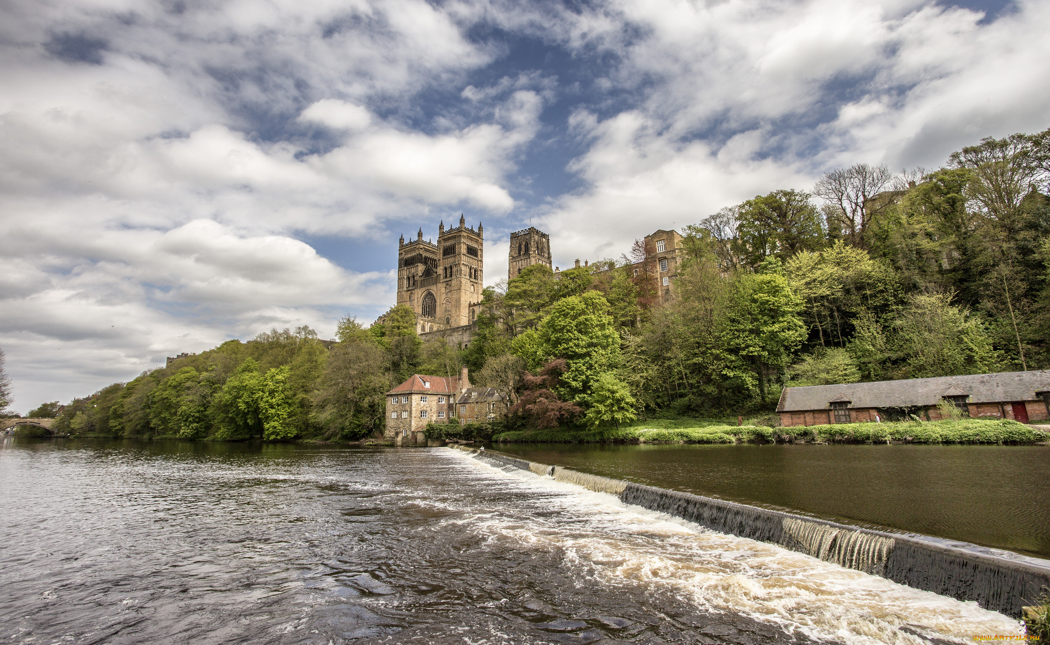 durham, cathedral, города, -, католические, соборы, , костелы, , аббатства, лес, река