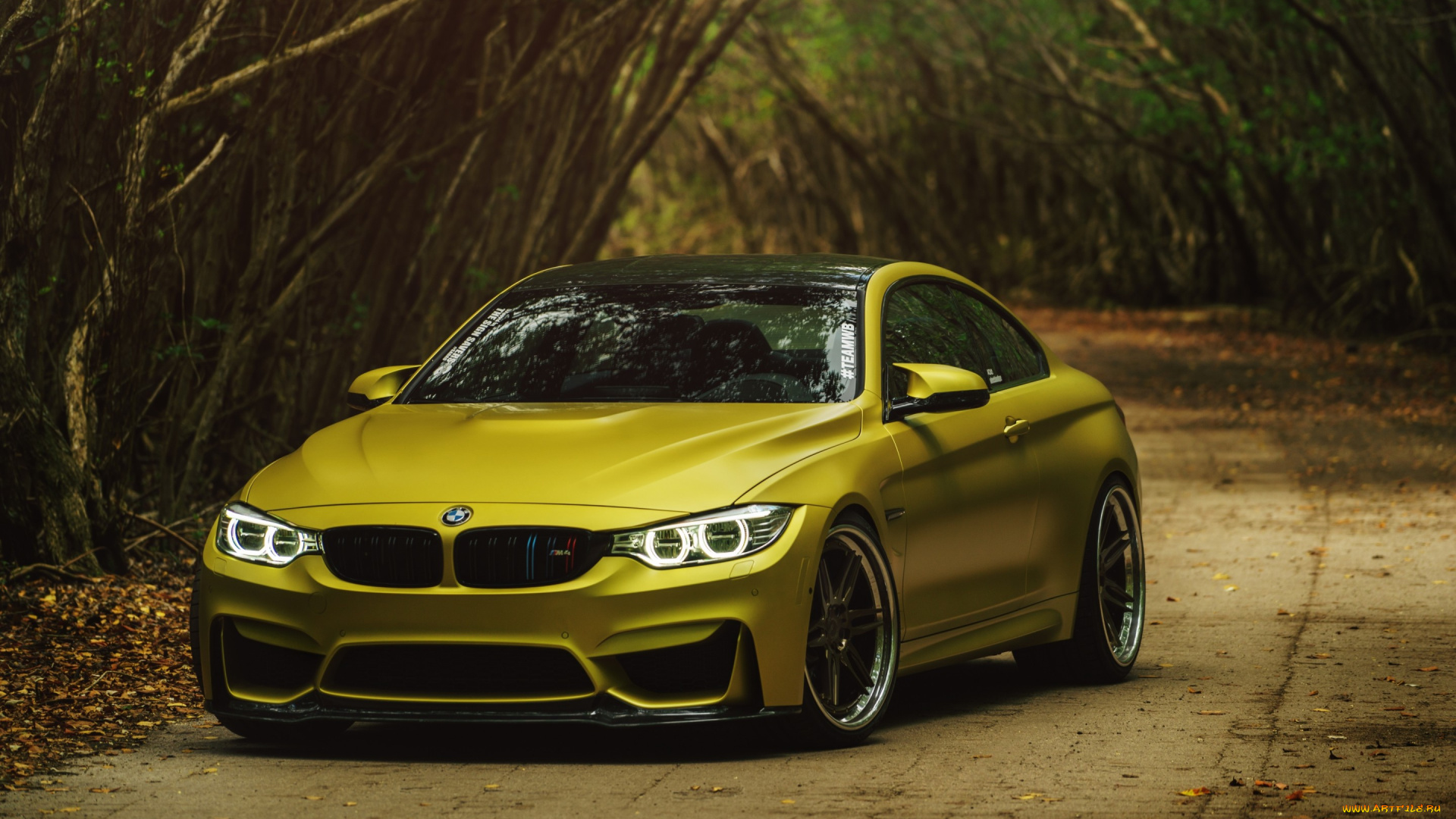 автомобили, bmw, m4, austin, yellow