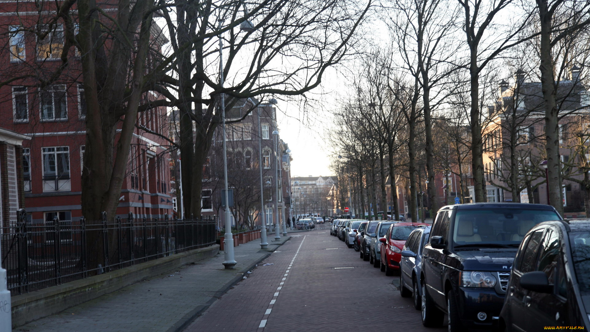 города, амстердам, , нидерланды, улица, деревья, машины