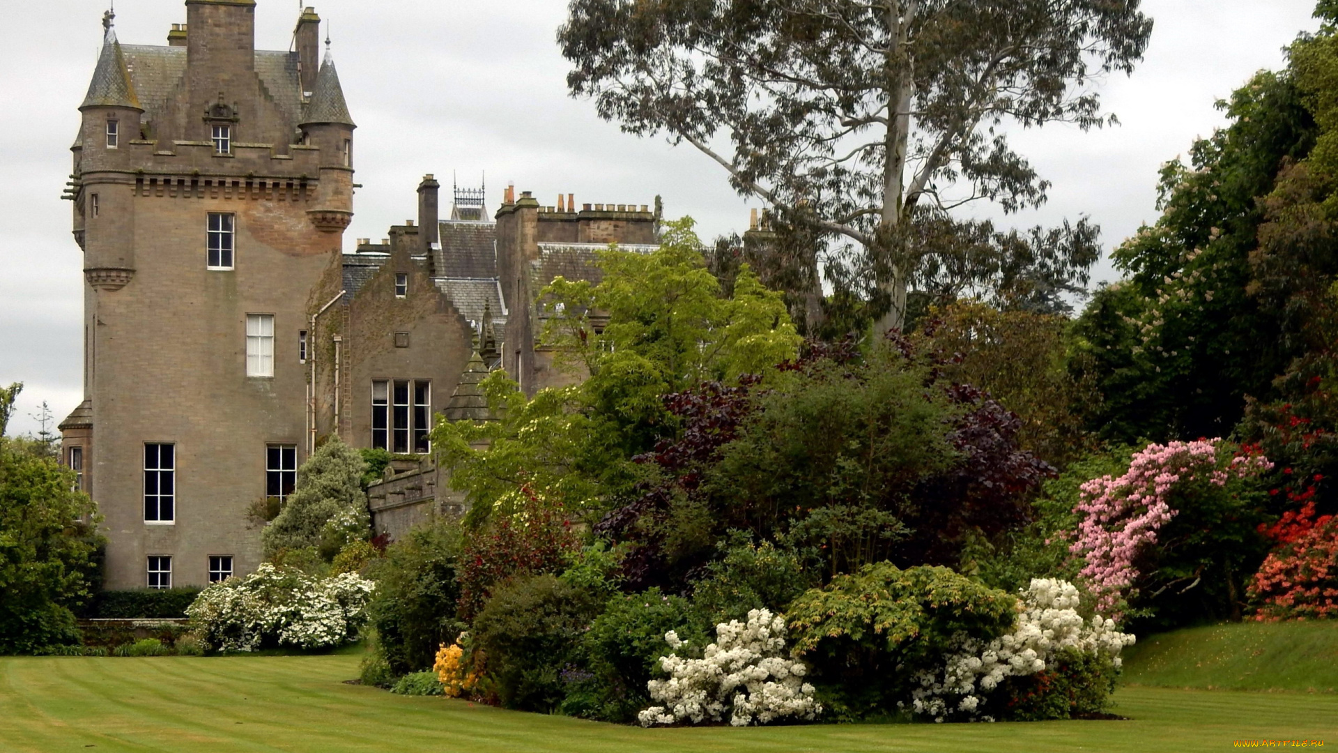 castle, kennedy, scotland, города, -, дворцы, , замки, , крепости, кусты, лужайка, старинный, замок