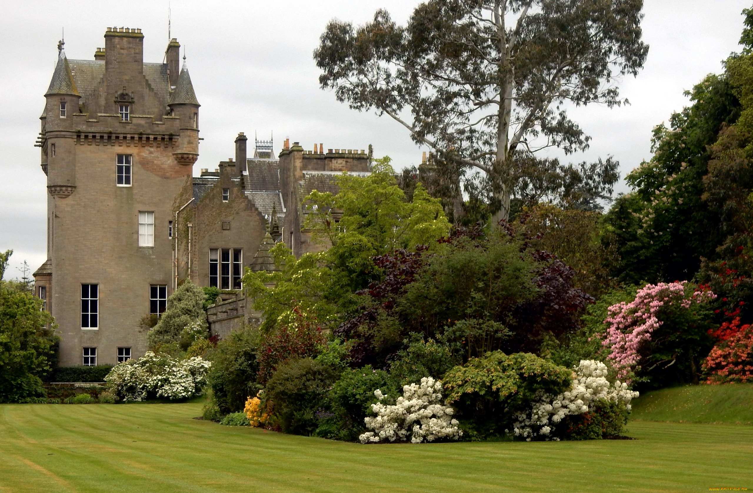 castle, kennedy, scotland, города, -, дворцы, , замки, , крепости, кусты, лужайка, старинный, замок