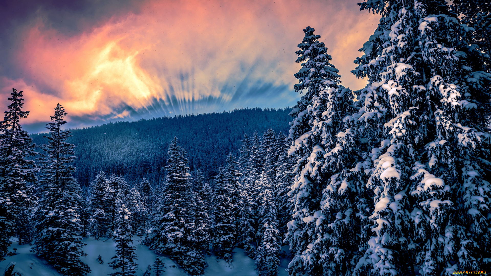 природа, зима, снег, горы, ели, деревья, облака, солнце, лес
