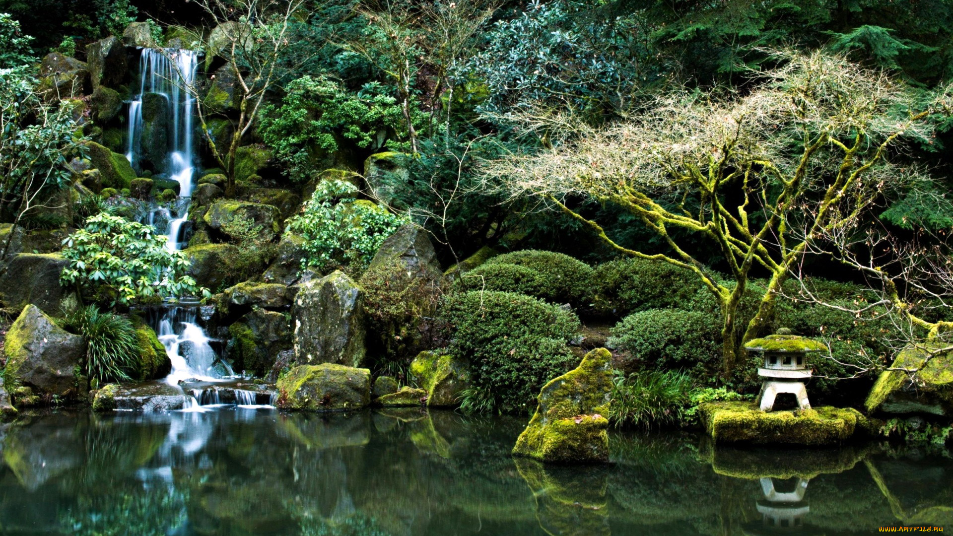 природа, парк, японский, садик