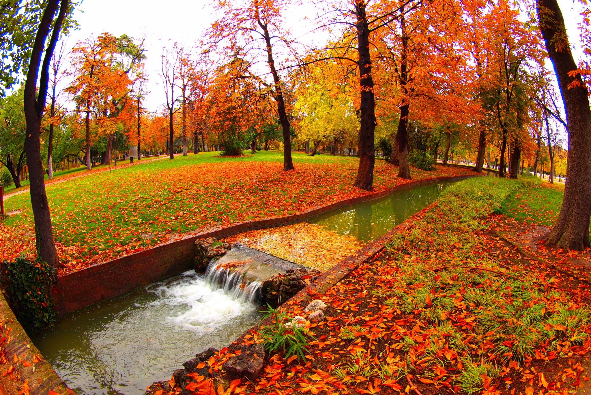 природа, парк, ручей, листопад, осень