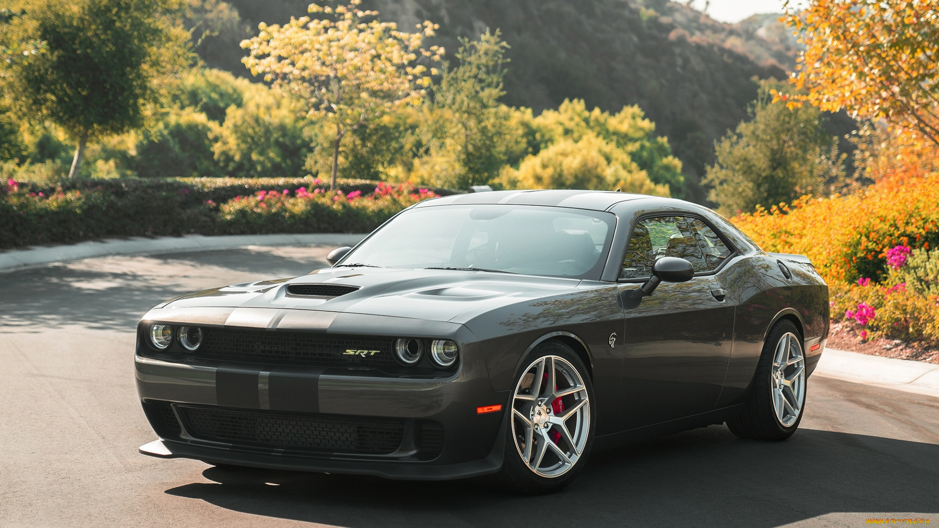 dodge, challenger, автомобили, dodge, challenger, этот, паренёк, любит, утроить, классное, жогово