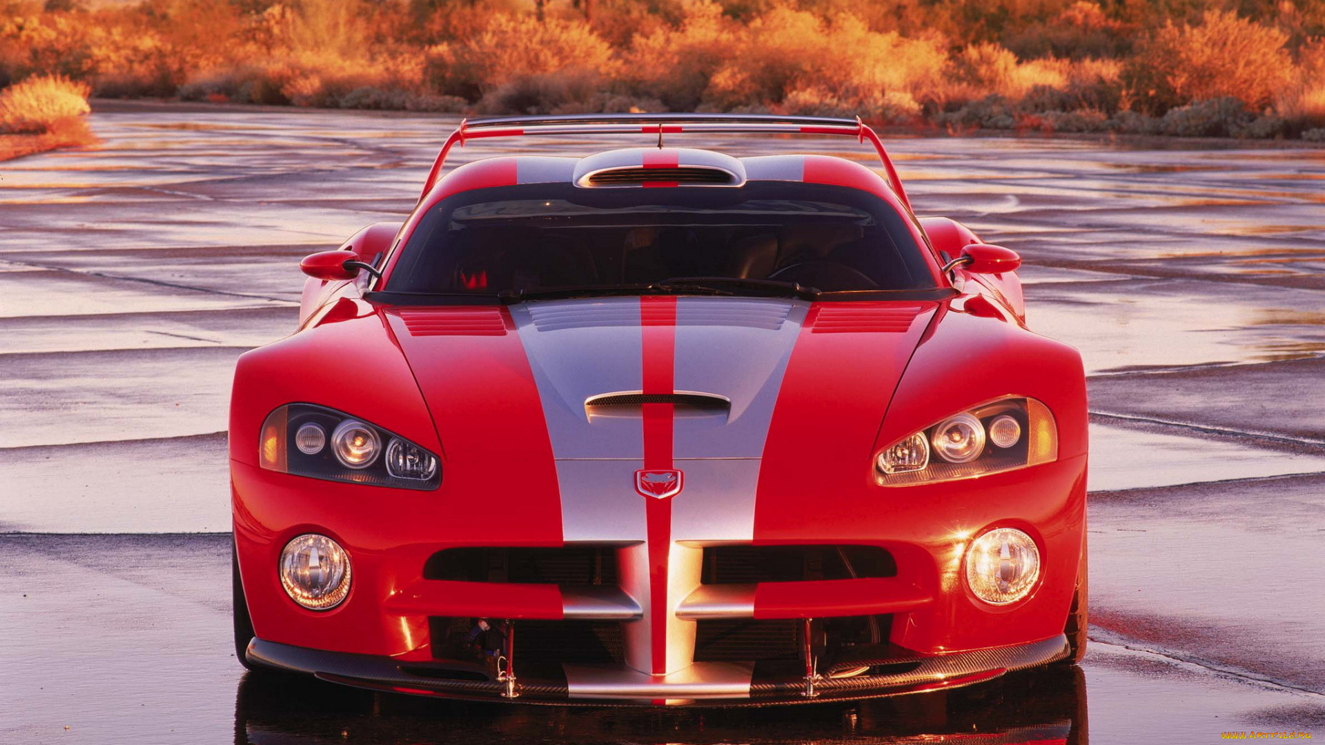 dodge, viper, автомобили, dodge, viper, srt, 10, acr, мощь, скорость, у, этого, парня, в, крови