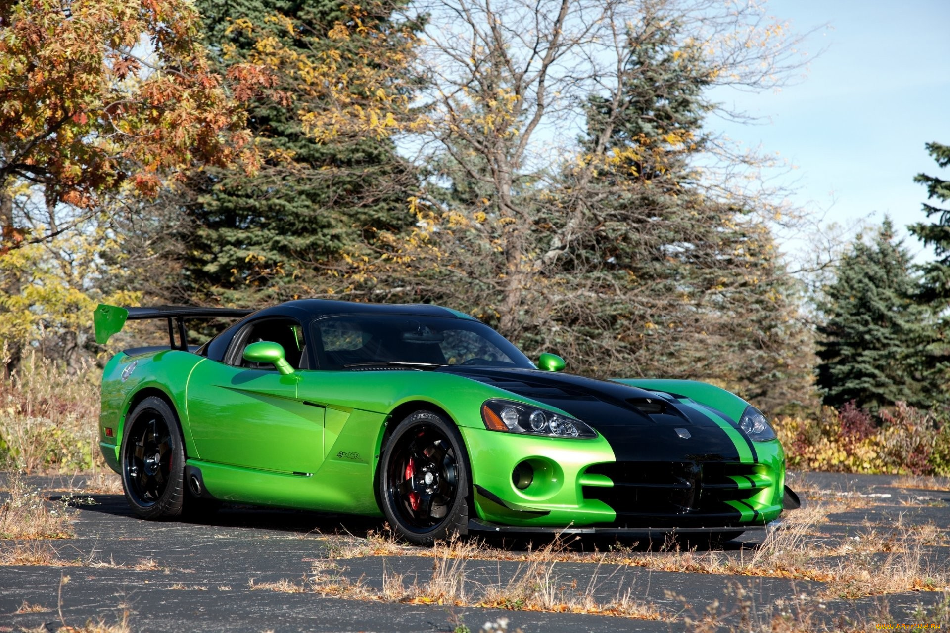 dodge, viper, автомобили, dodge, viper, srt, 10, acr, мощь, скорость, у, этого, парня, в, крови