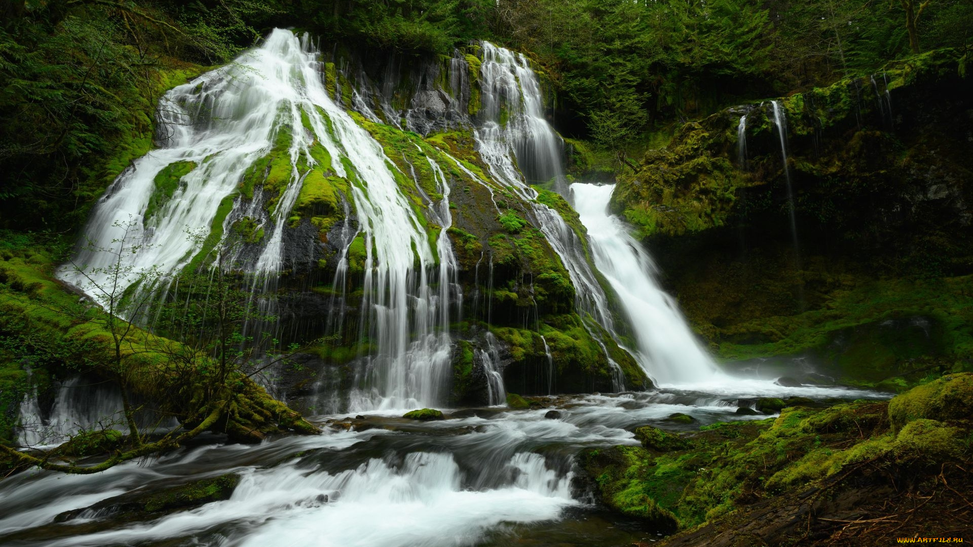 panther, creek, falls, washington, state, природа, водопады, panther, creek, falls, washington, state