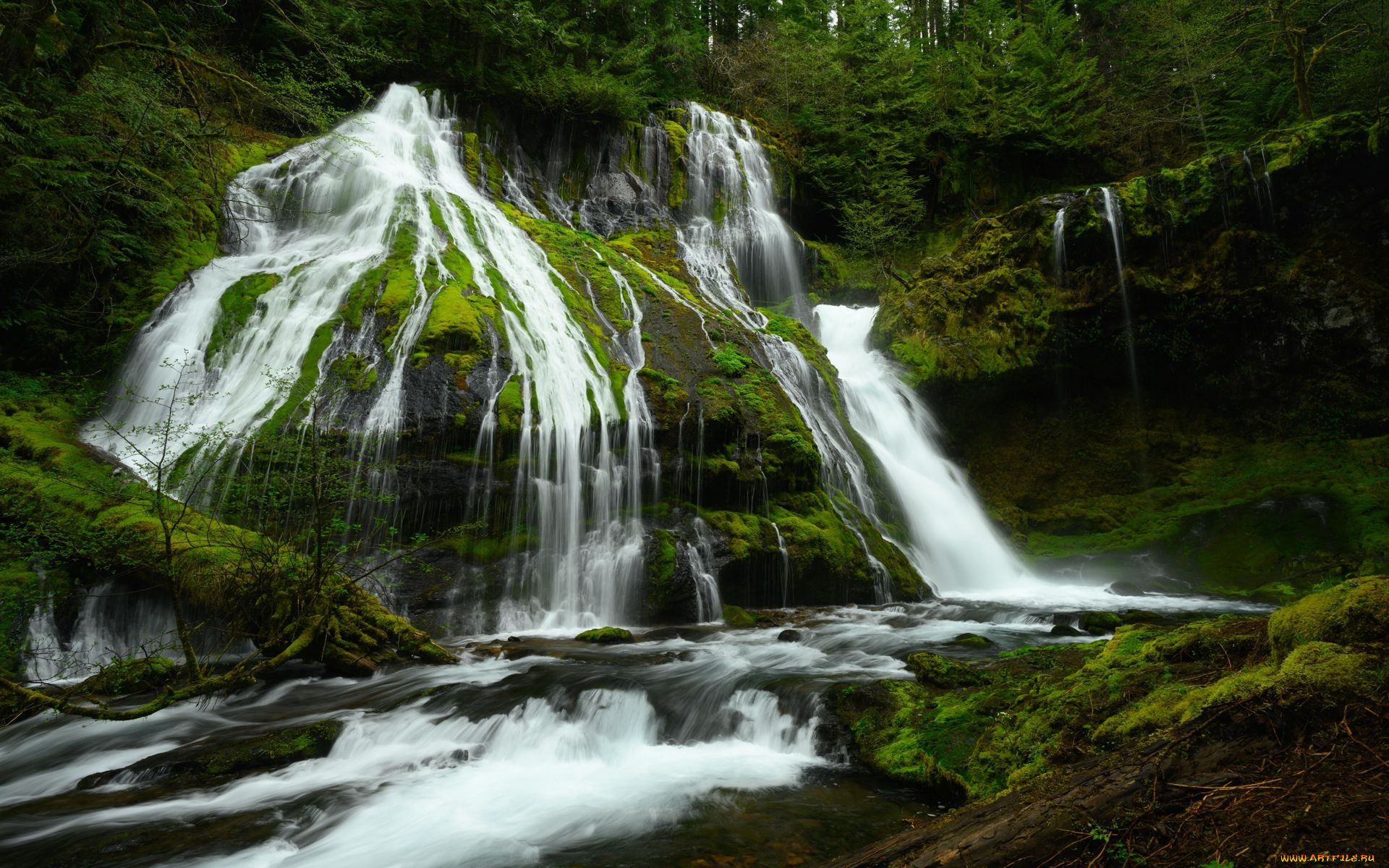 panther, creek, falls, washington, state, природа, водопады, panther, creek, falls, washington, state