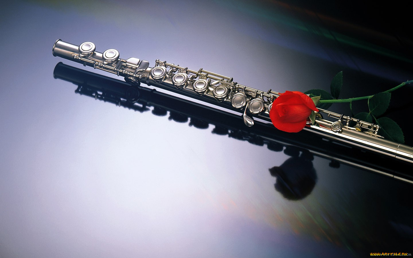 музыка, музыкальные, инструменты, флейта, цветок