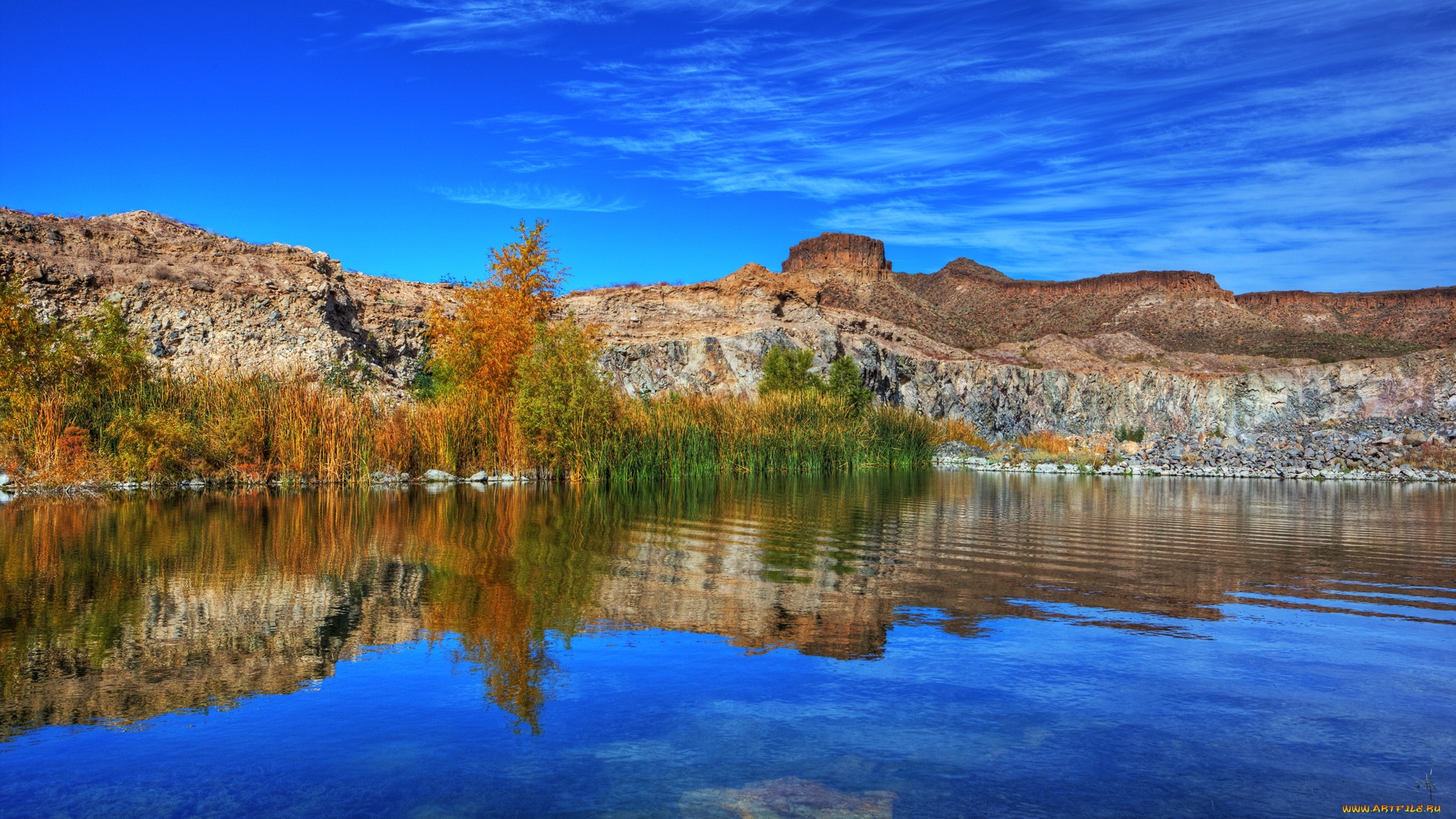 desert, oasis, природа, пустыни, вода, оазис, пустыня, растительность