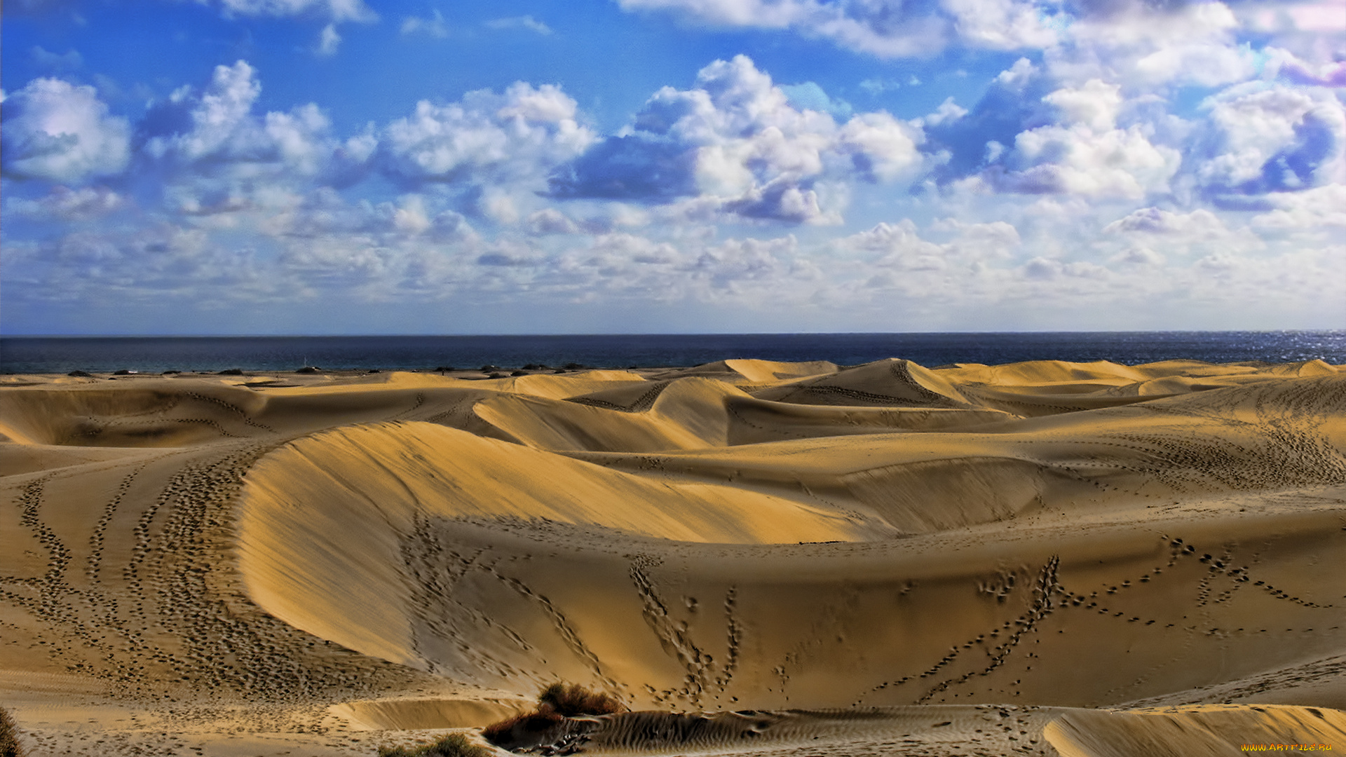dune, tracks, природа, пустыни, следы, дюны, море, облака