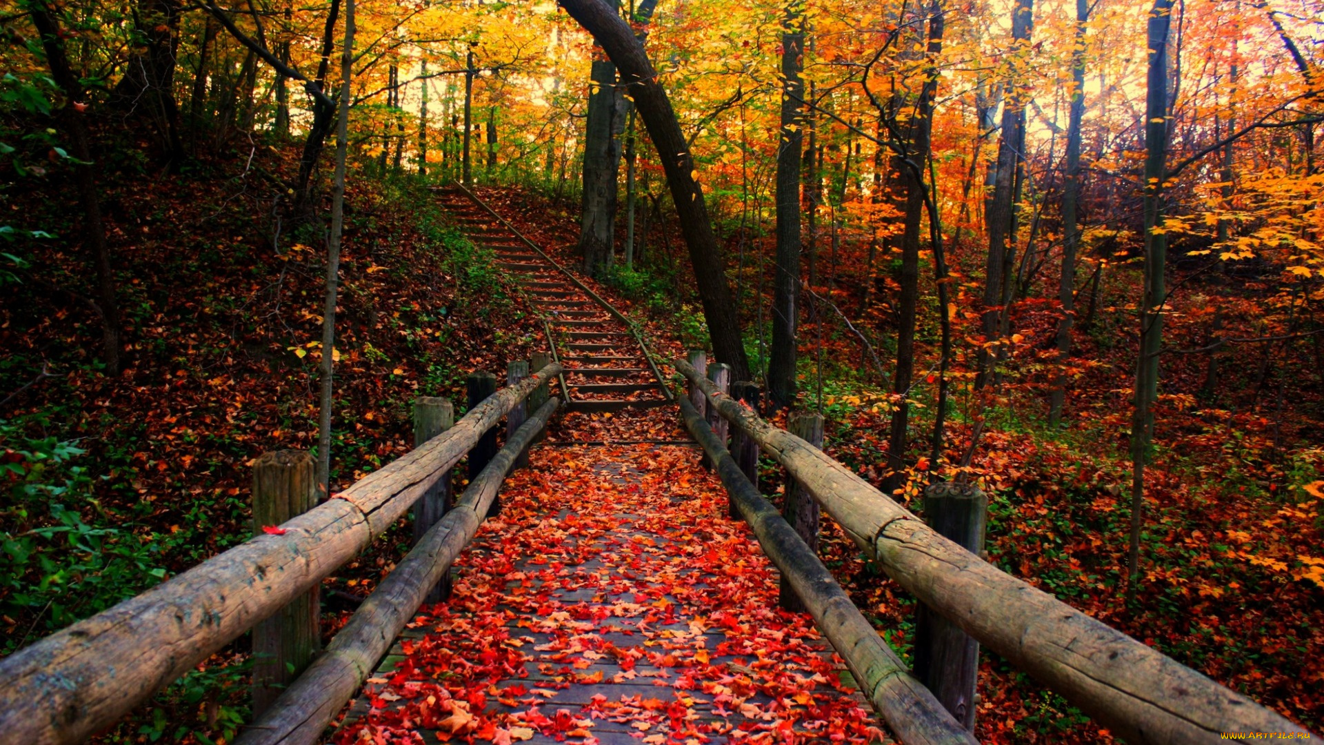 природа, дороги, краски, листва, лестница, осень, парк