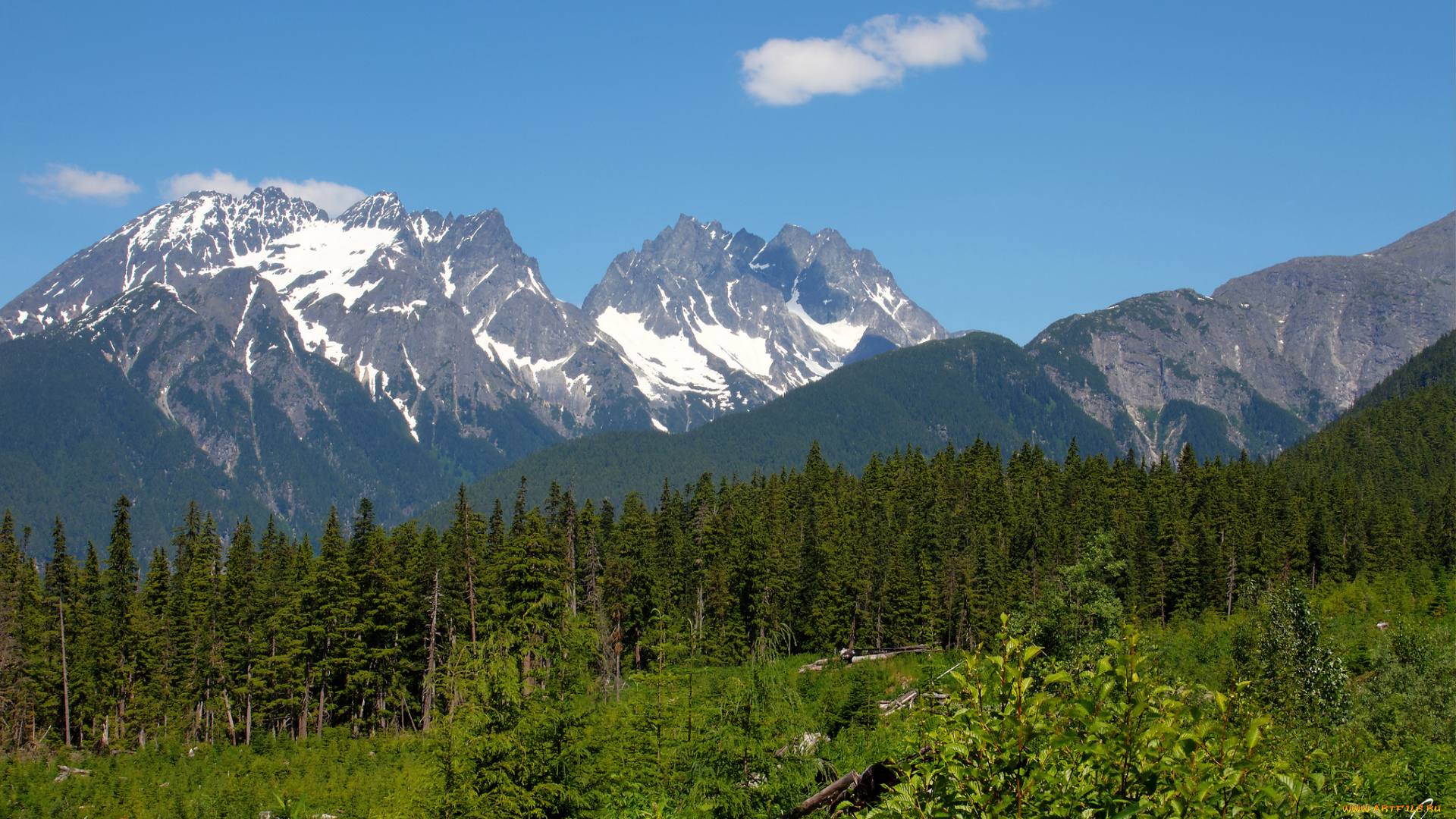 природа, горы, alaska, пейзаж, деревья, аляска, лес