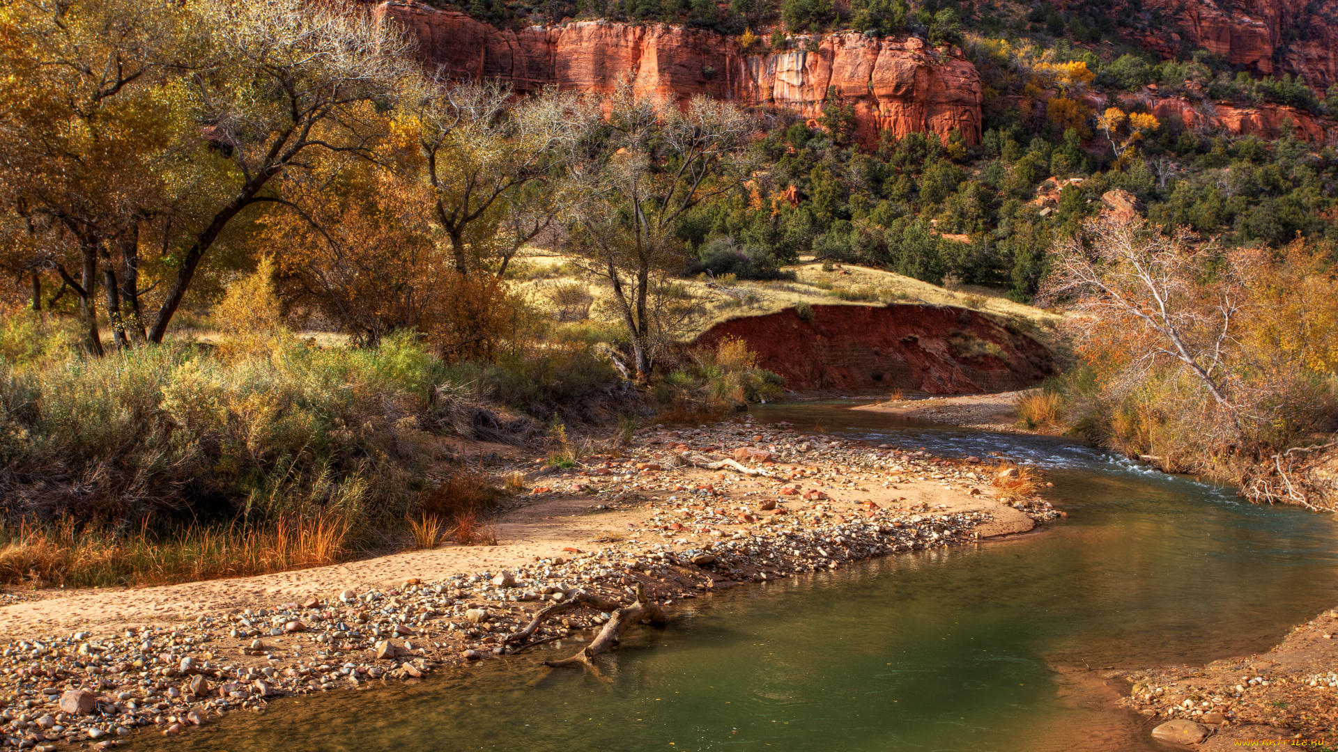 zion, fall, природа, реки, озера, горы, деревья, ручей, скалы