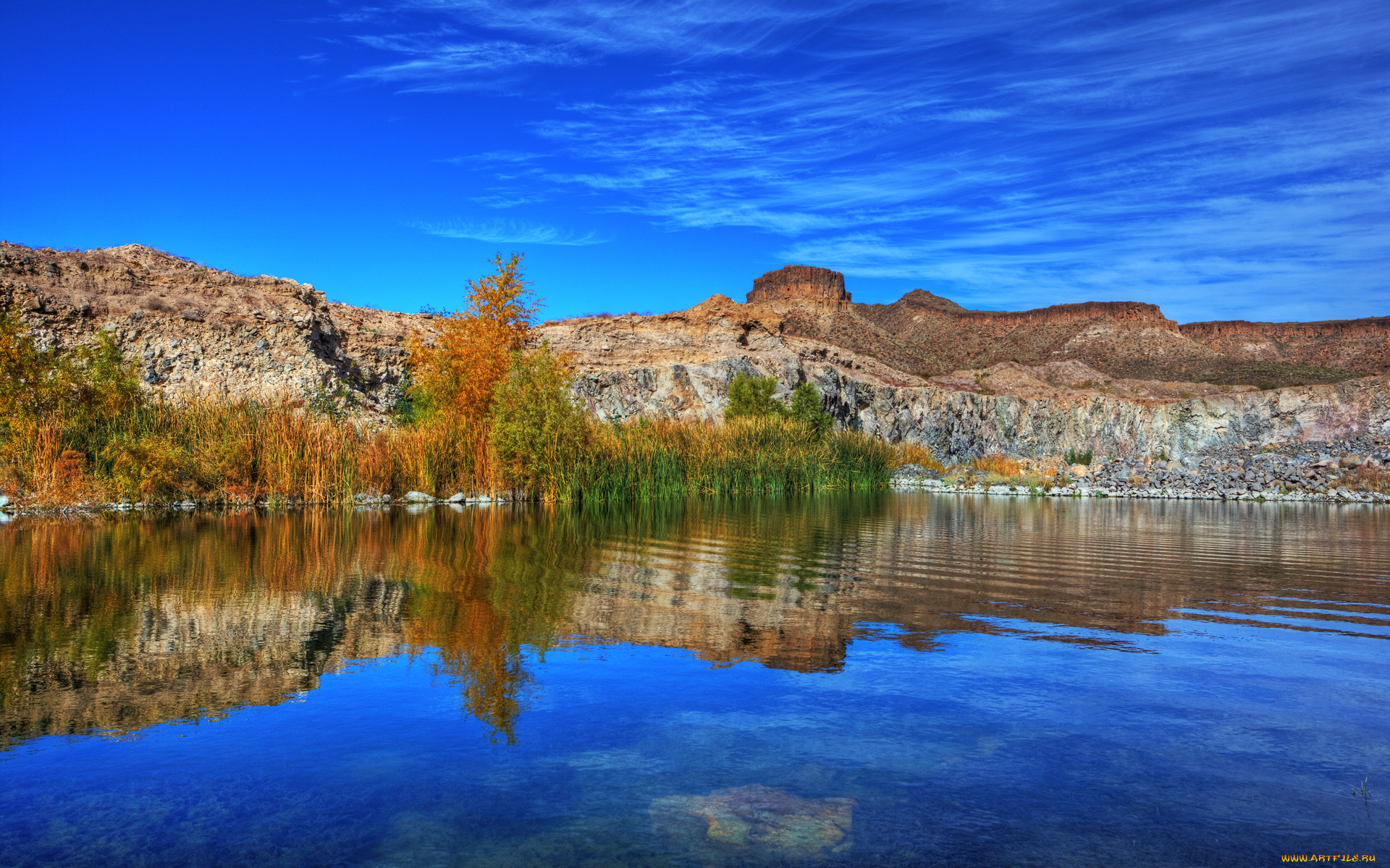 desert, oasis, природа, пустыни, вода, оазис, пустыня, растительность