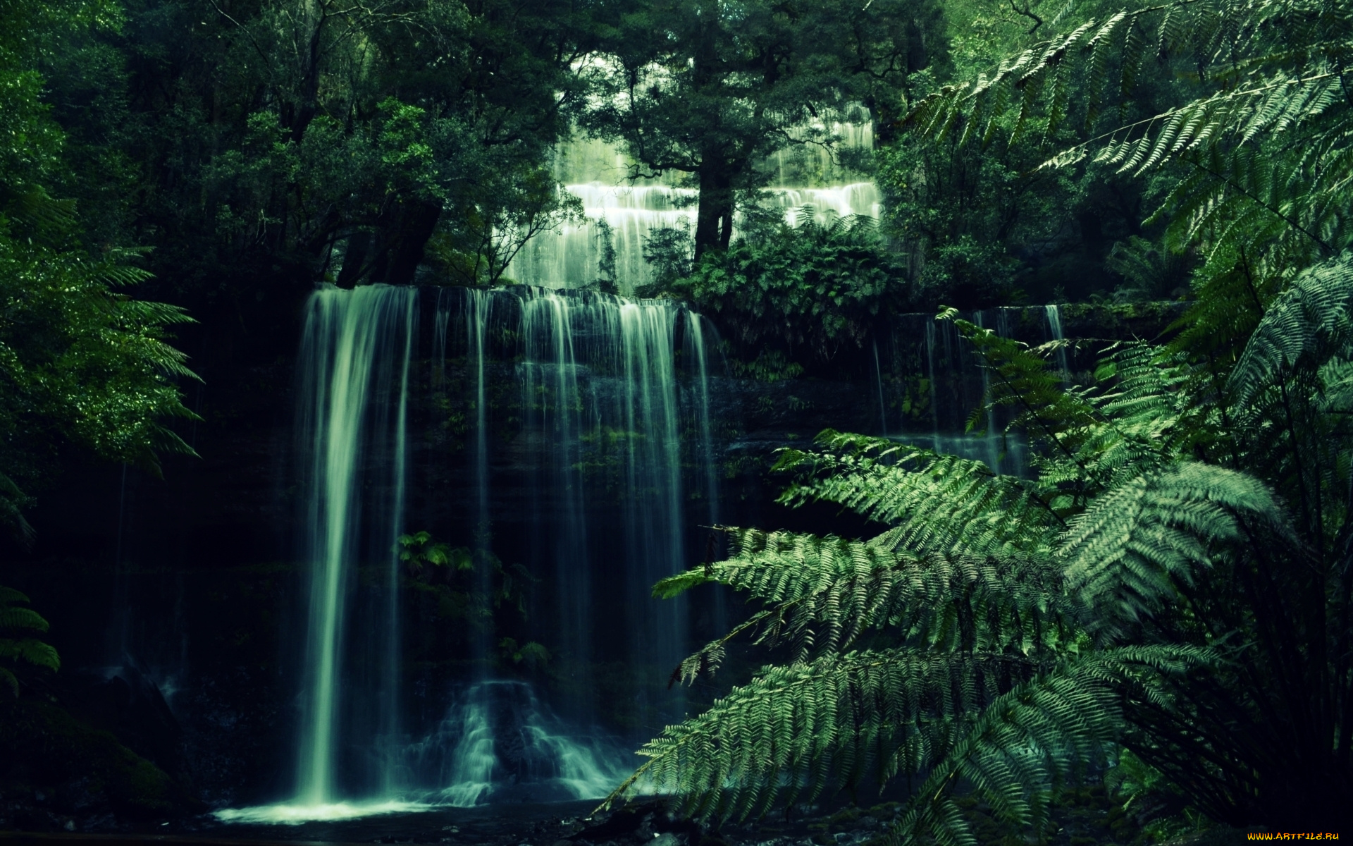 природа, водопады, джунгли, тропики, водопад