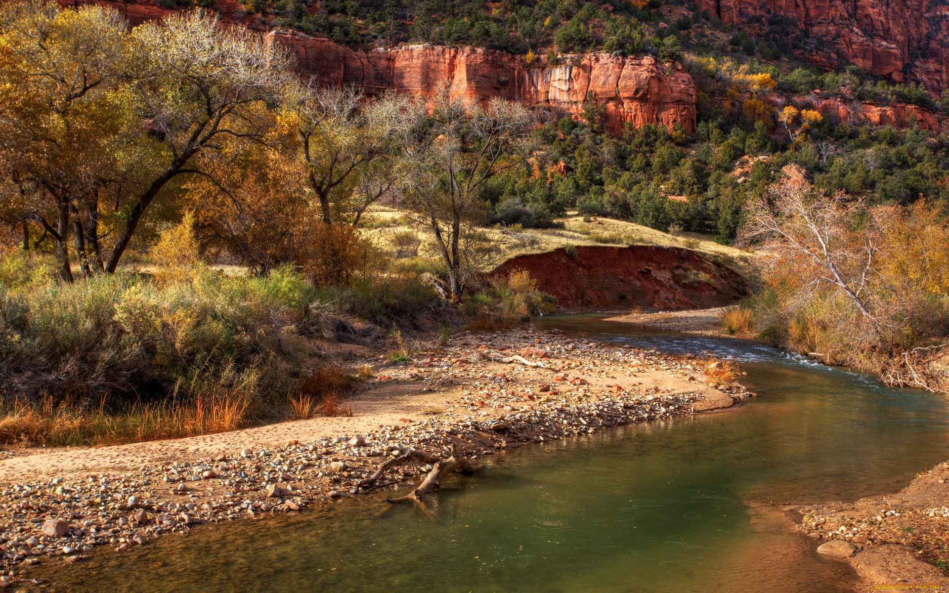 zion, fall, природа, реки, озера, горы, деревья, ручей, скалы