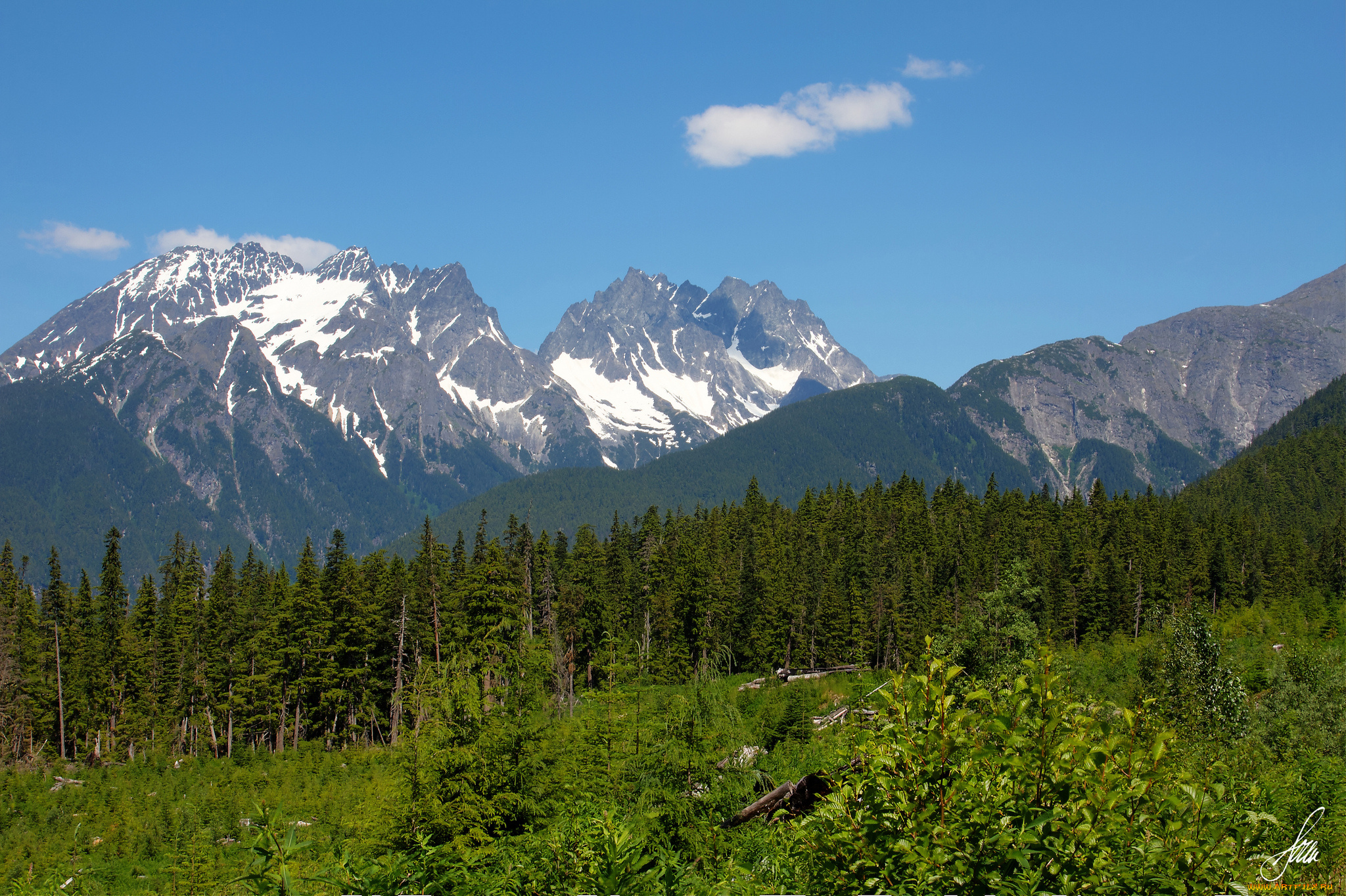 природа, горы, alaska, пейзаж, деревья, аляска, лес