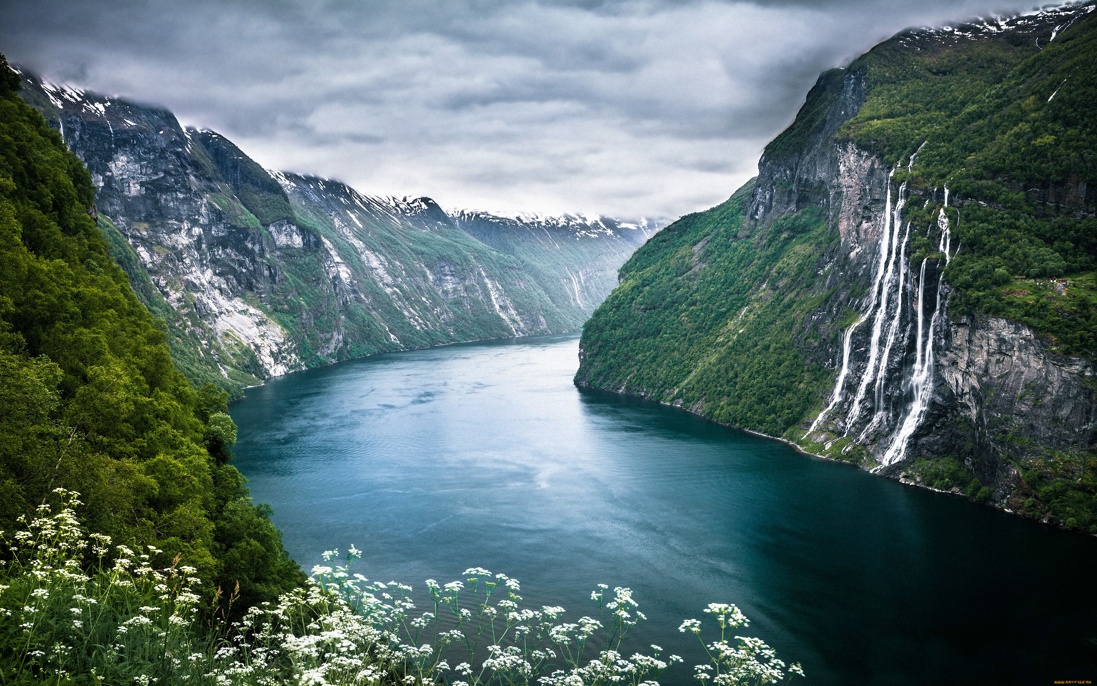 geirangerfjorden, norway, природа, реки, озера, норвегия, фьорд, горы, вода, водопад, цветы
