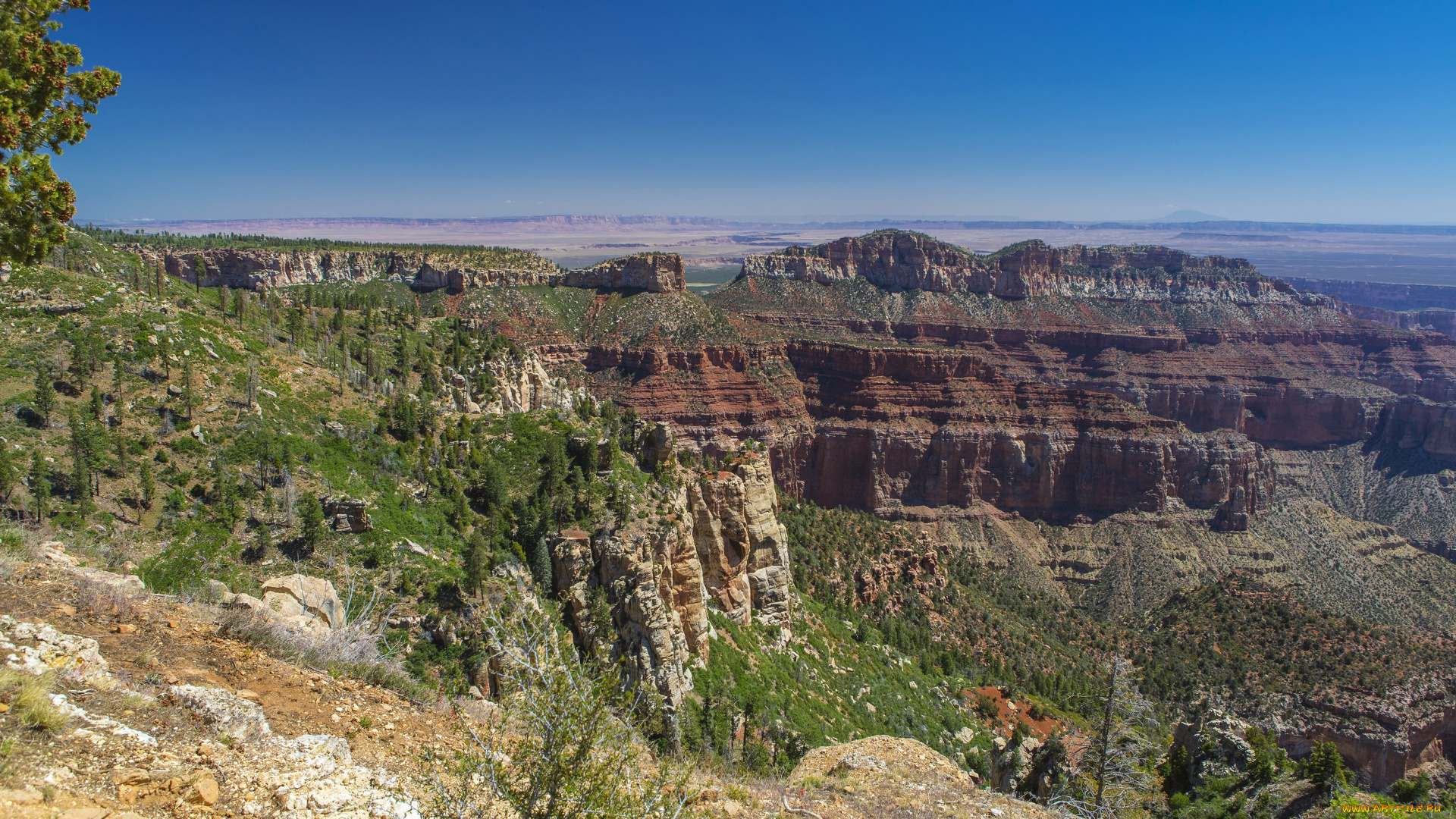 grand, canyon, national, park, arizona, природа, горы