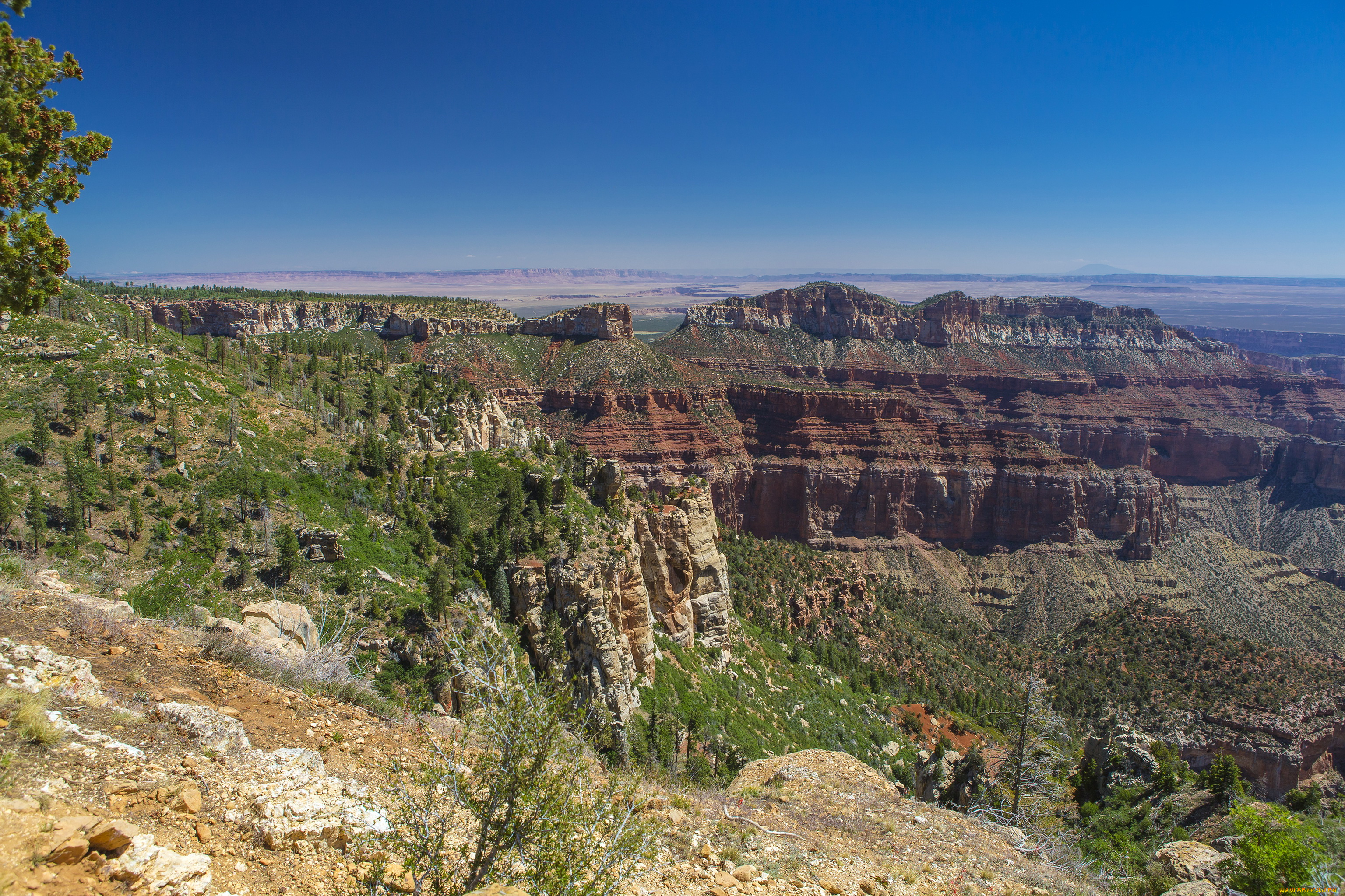 grand, canyon, national, park, arizona, природа, горы