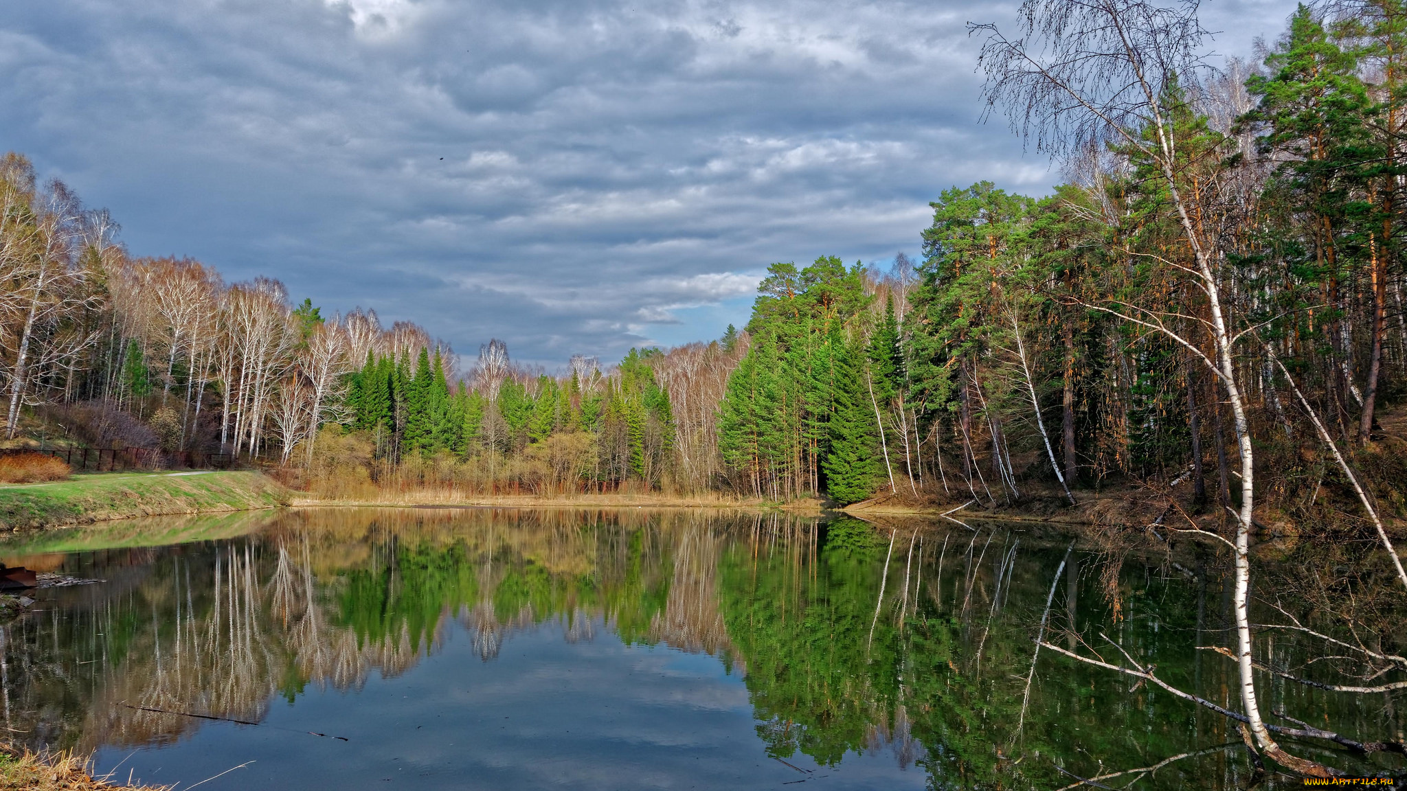 природа, реки, озера, лес, река