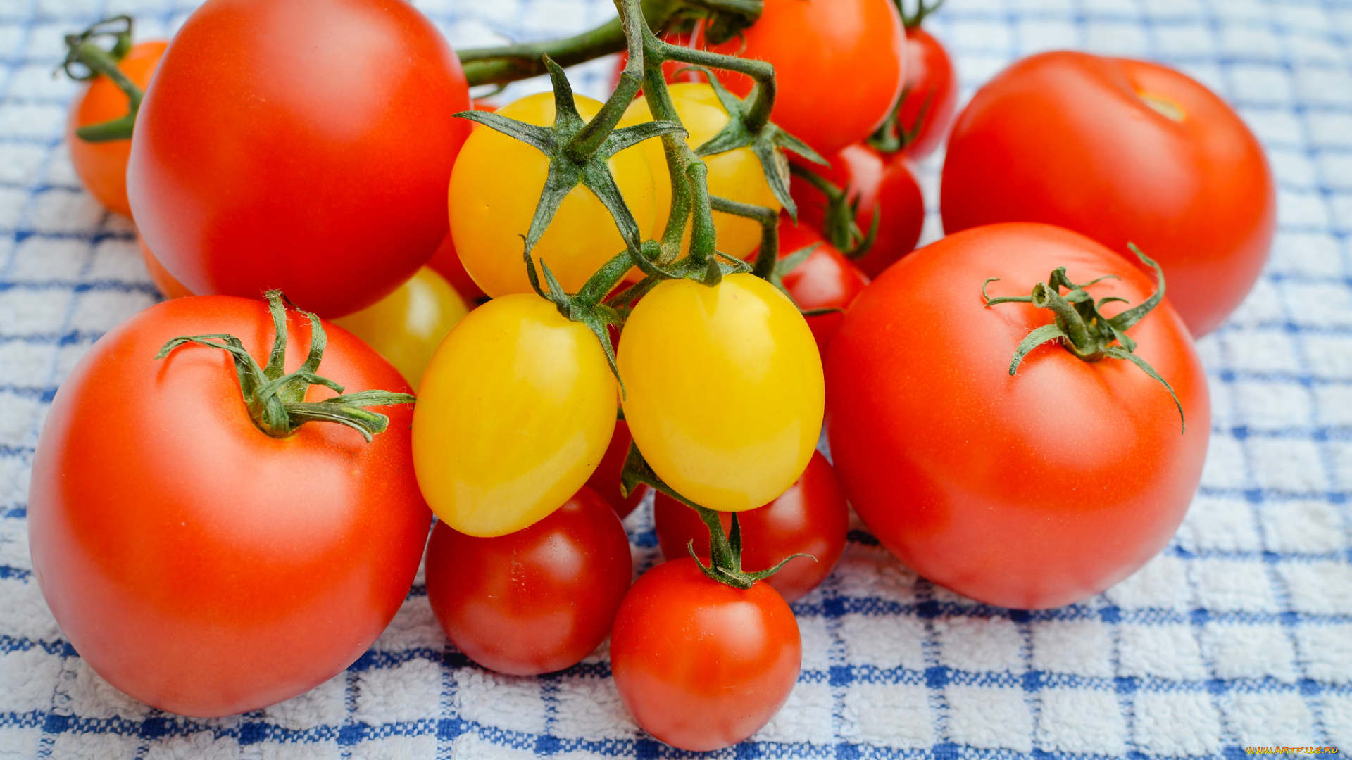 еда, помидоры, плоды, томаты, томат