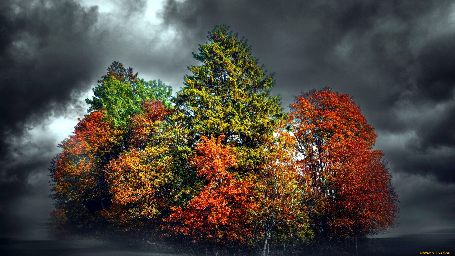 природа, деревья, тучи, мрак, осень