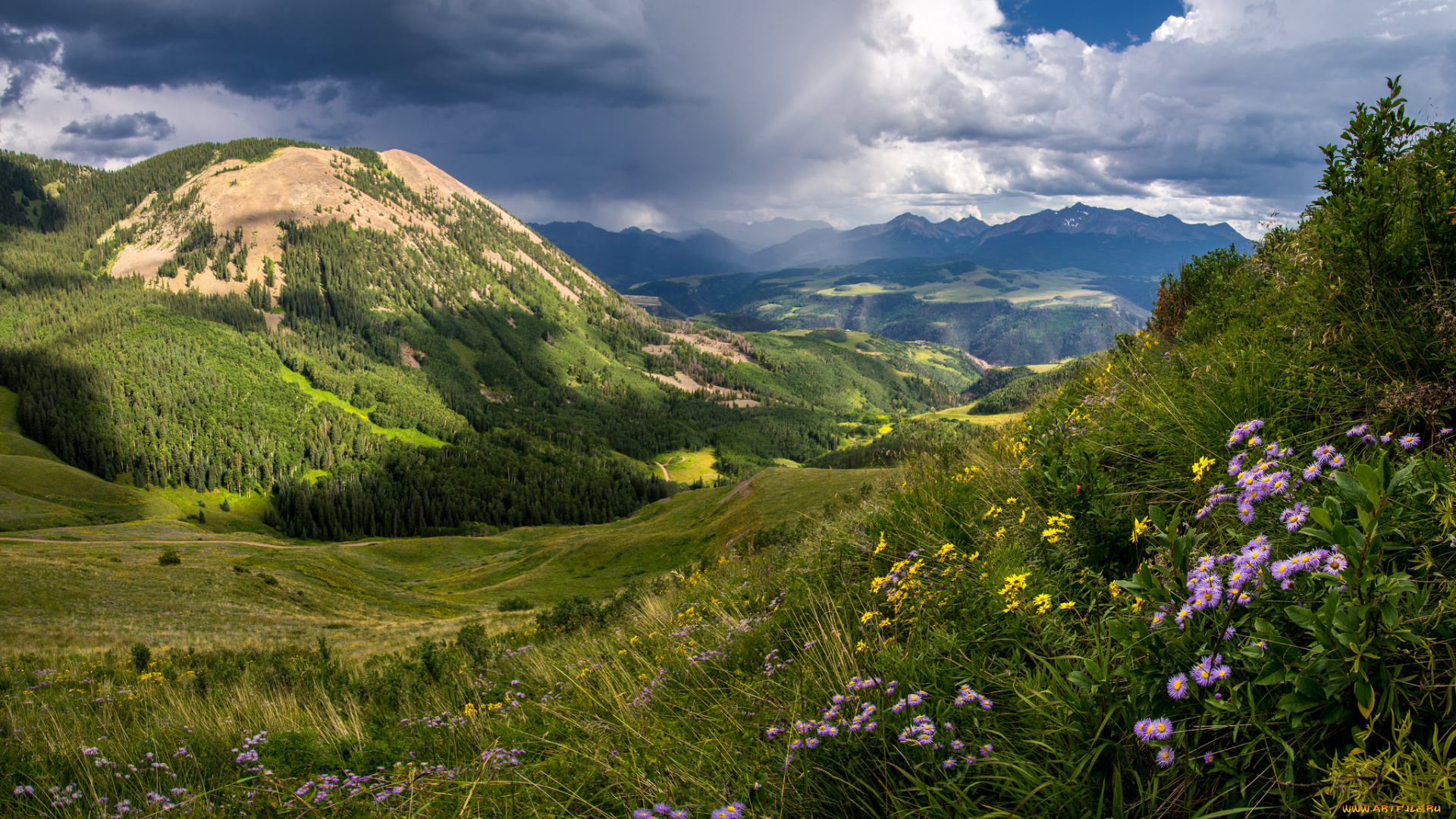 природа, пейзажи, простор