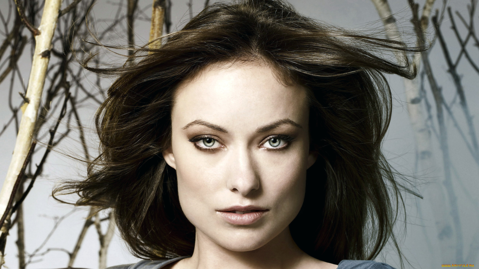 девушки, olivia, wilde, шатенка, лицо, ветки