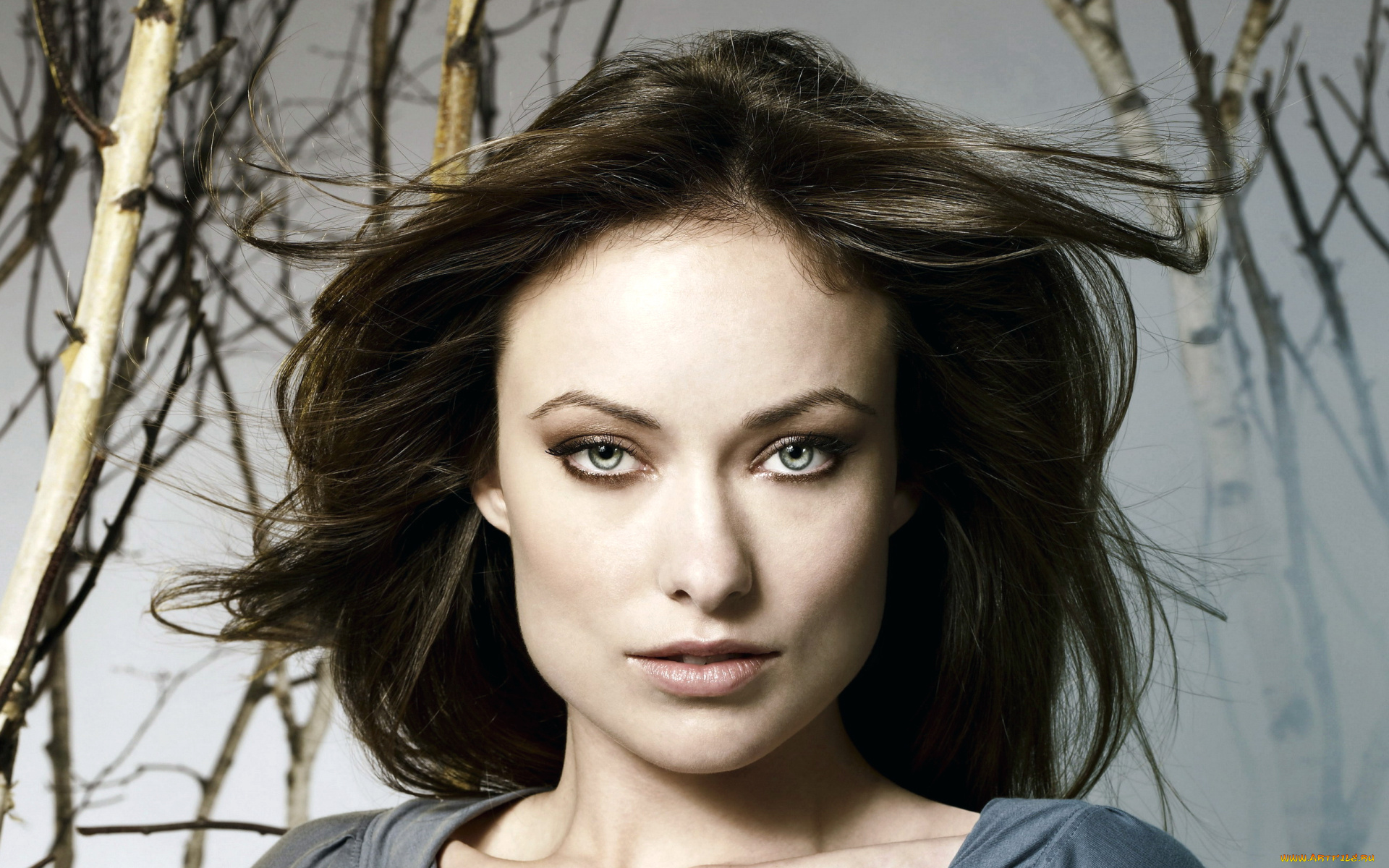 девушки, olivia, wilde, шатенка, лицо, ветки