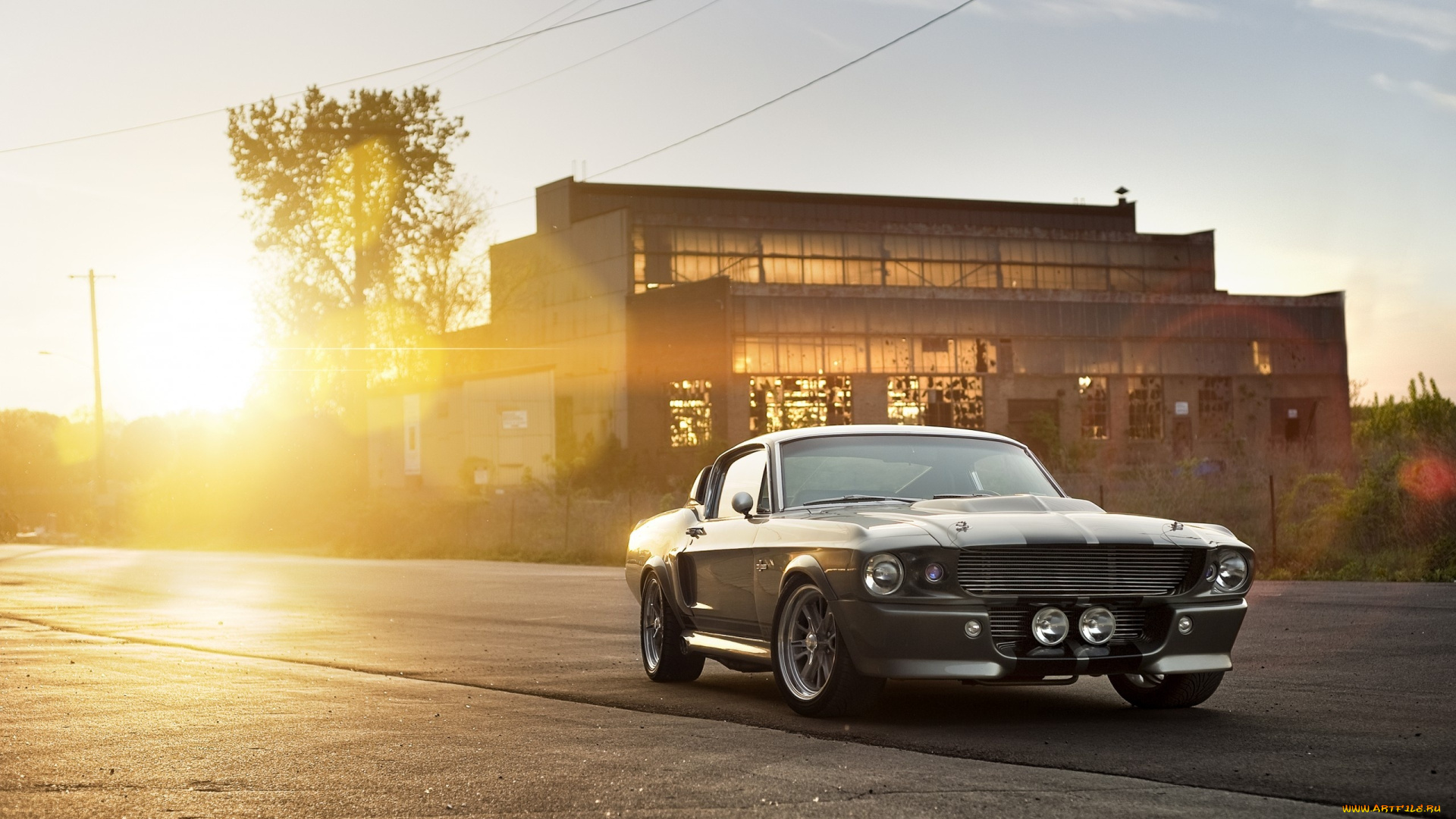 автомобили, mustang, shelby