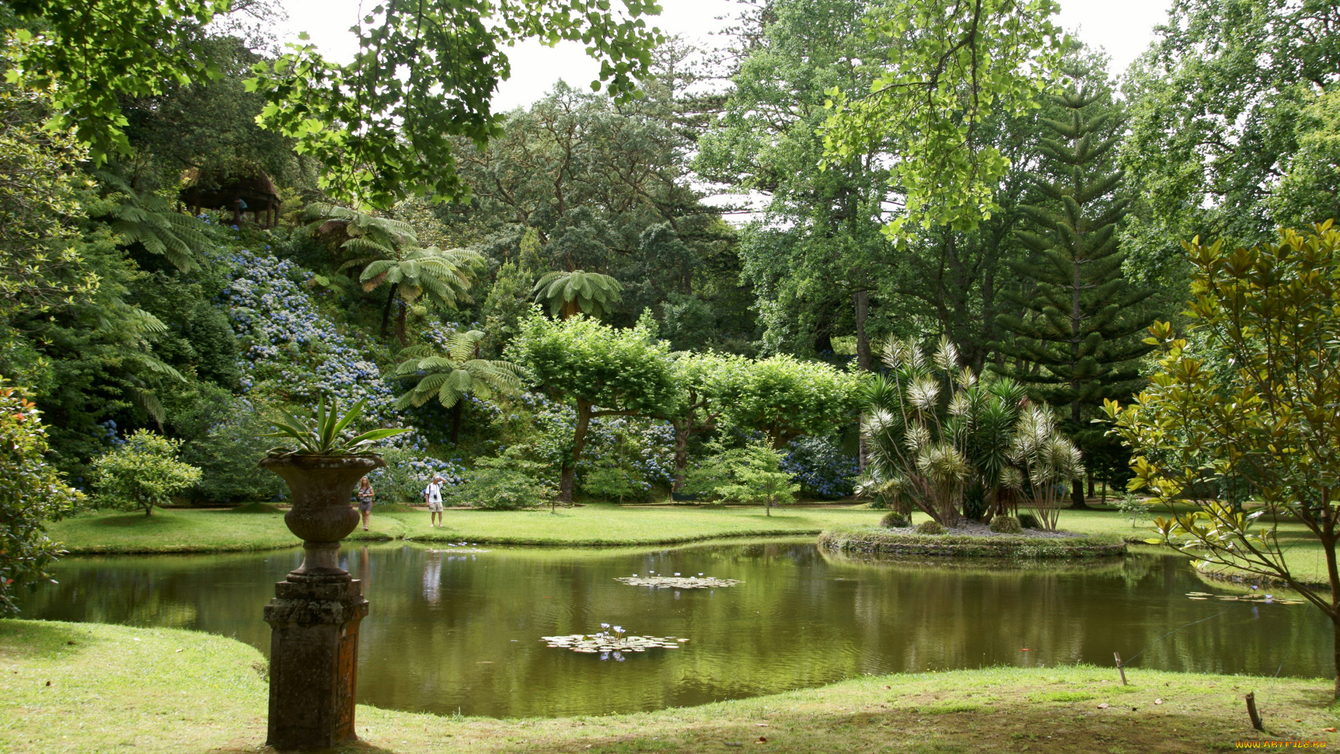 parque, terra, nostra, furnas, португалия, природа, парк, растения, водоем