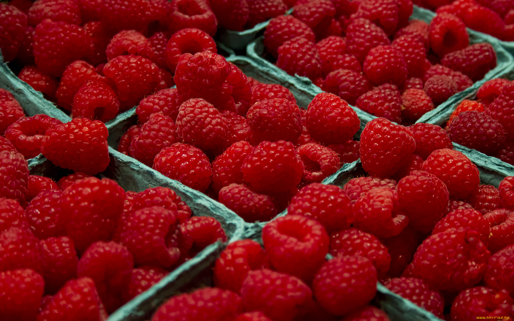 еда малина природа food raspberry nature скачать