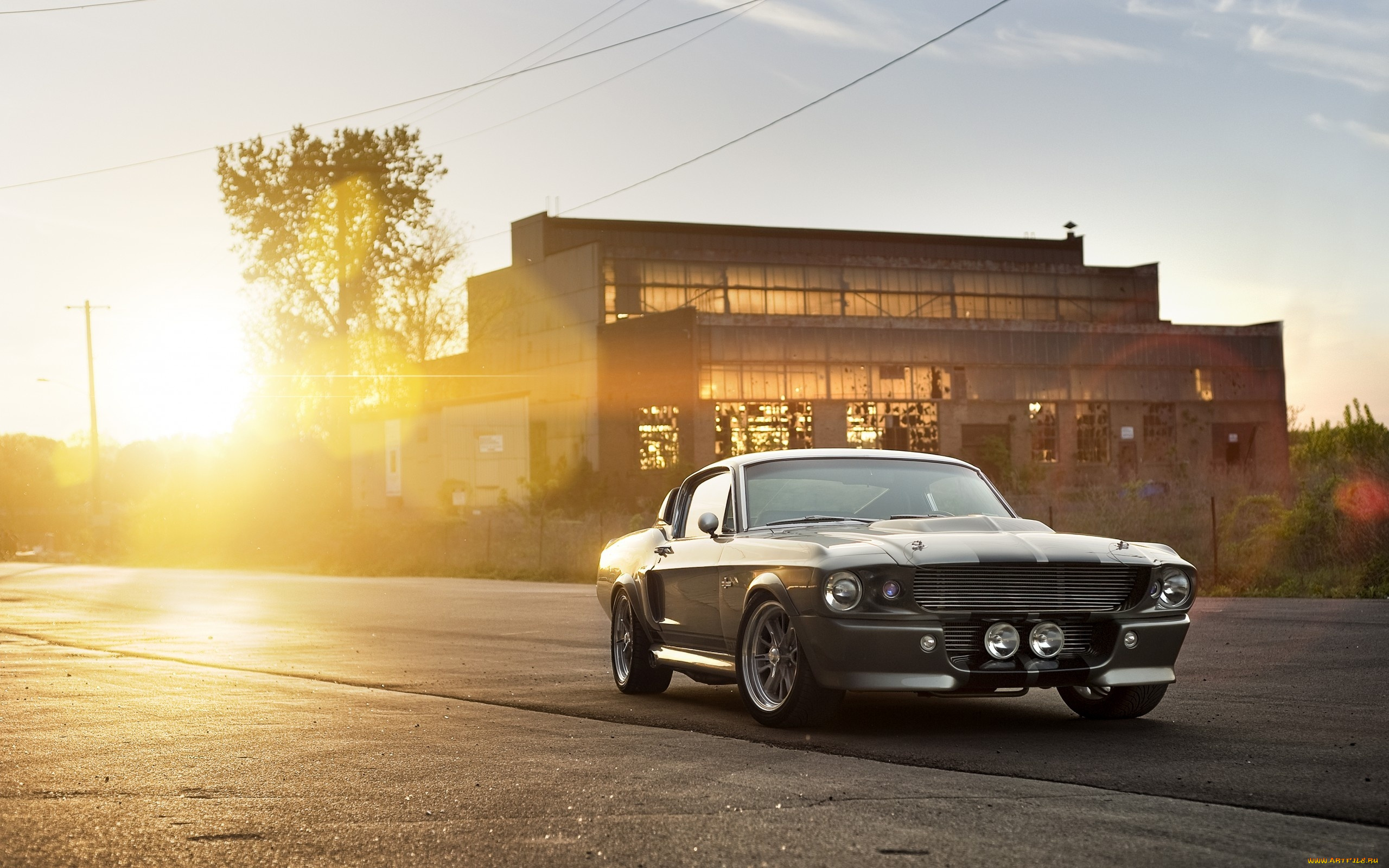 автомобили, mustang, shelby