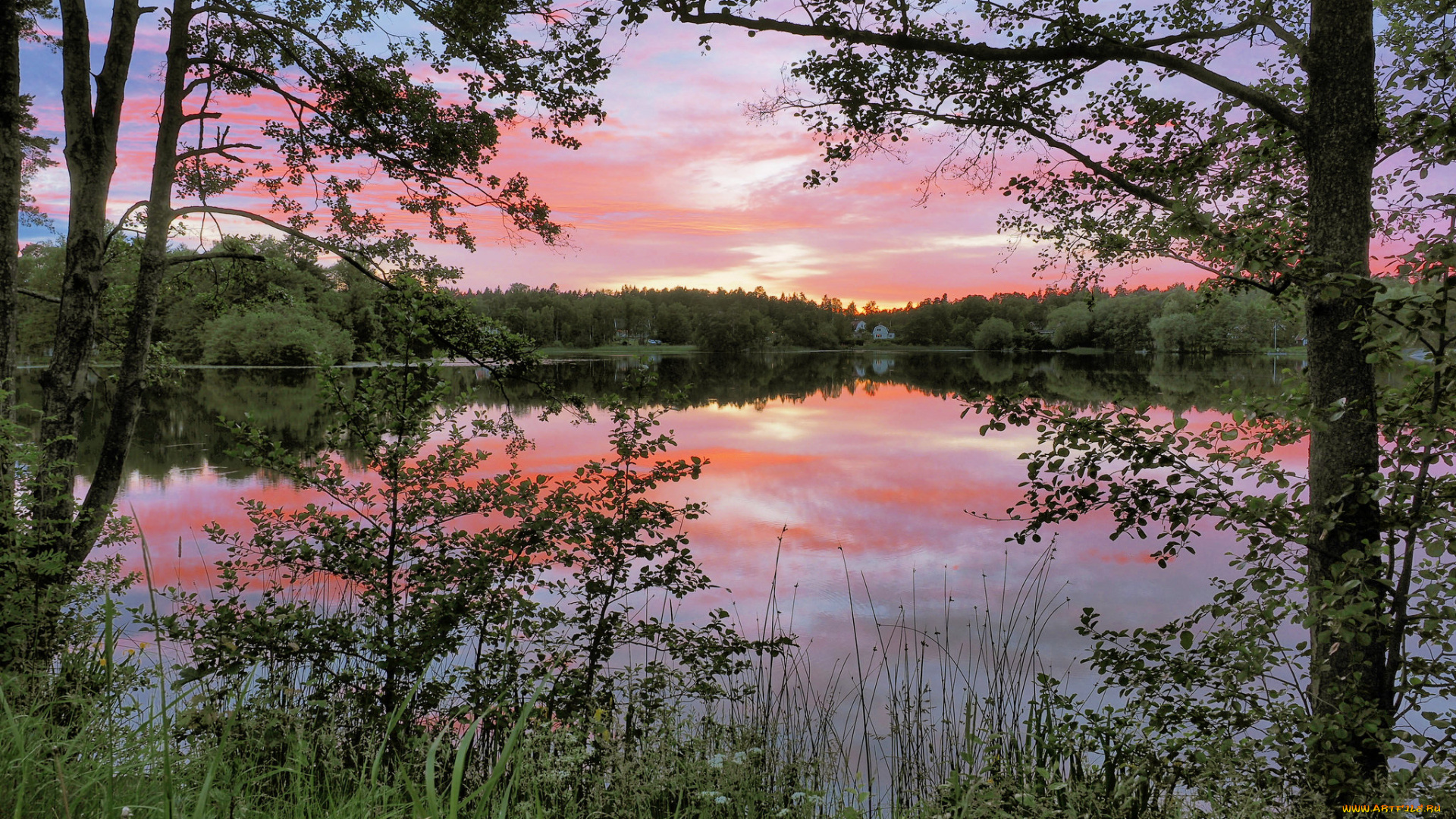 природа, реки, озера, река, лес