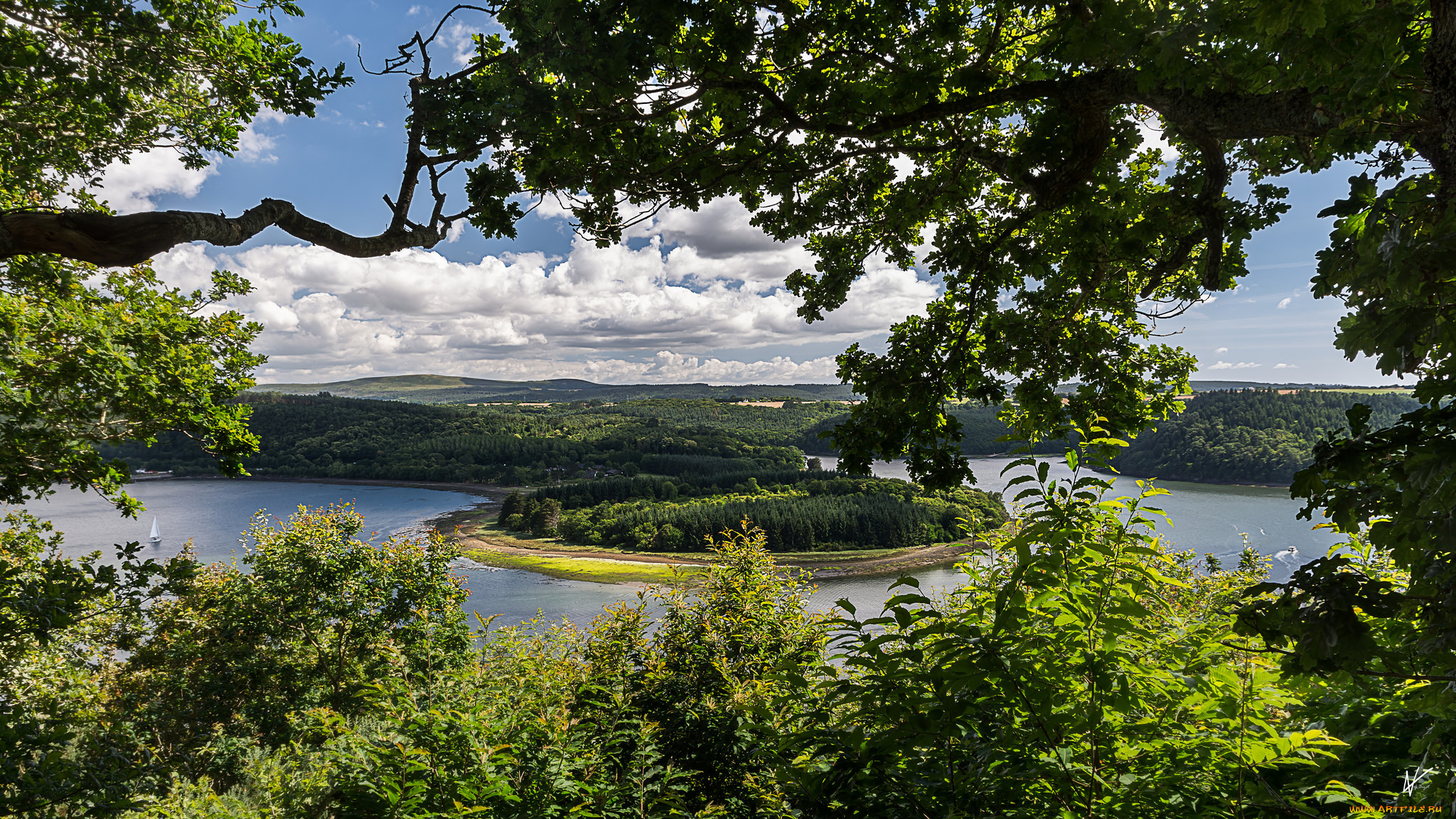 природа, реки, озера, лес, река