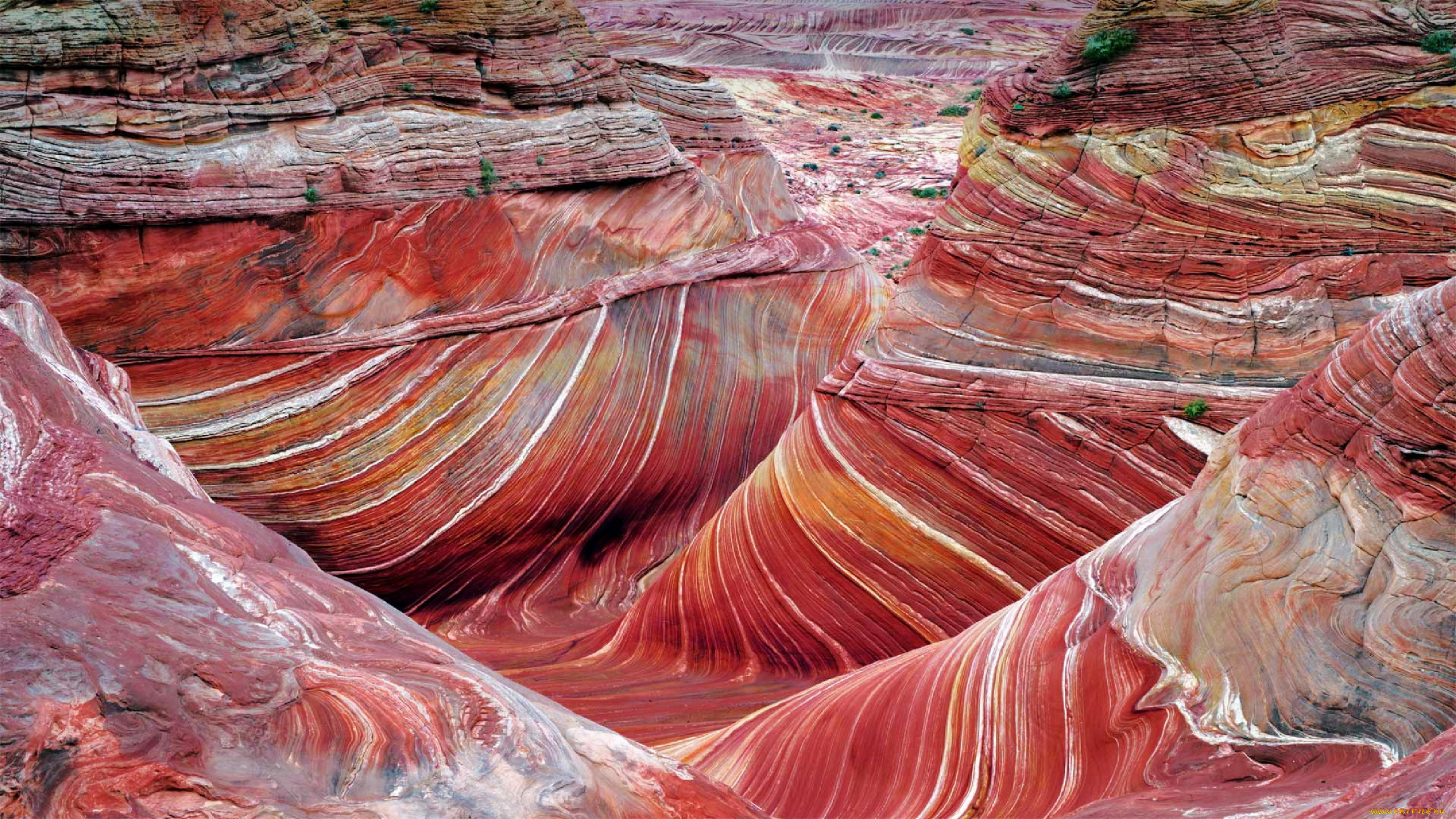 coyote, buttes, utah, природа, горы, coyote, buttes