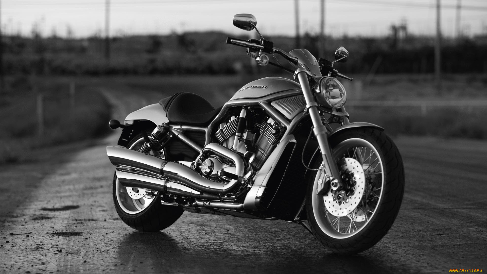 harley, мотоциклы, harley-davidson, davidson, мотоцикл, байк