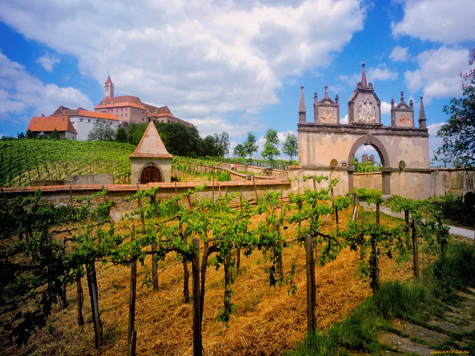 austrian, vineyard, города