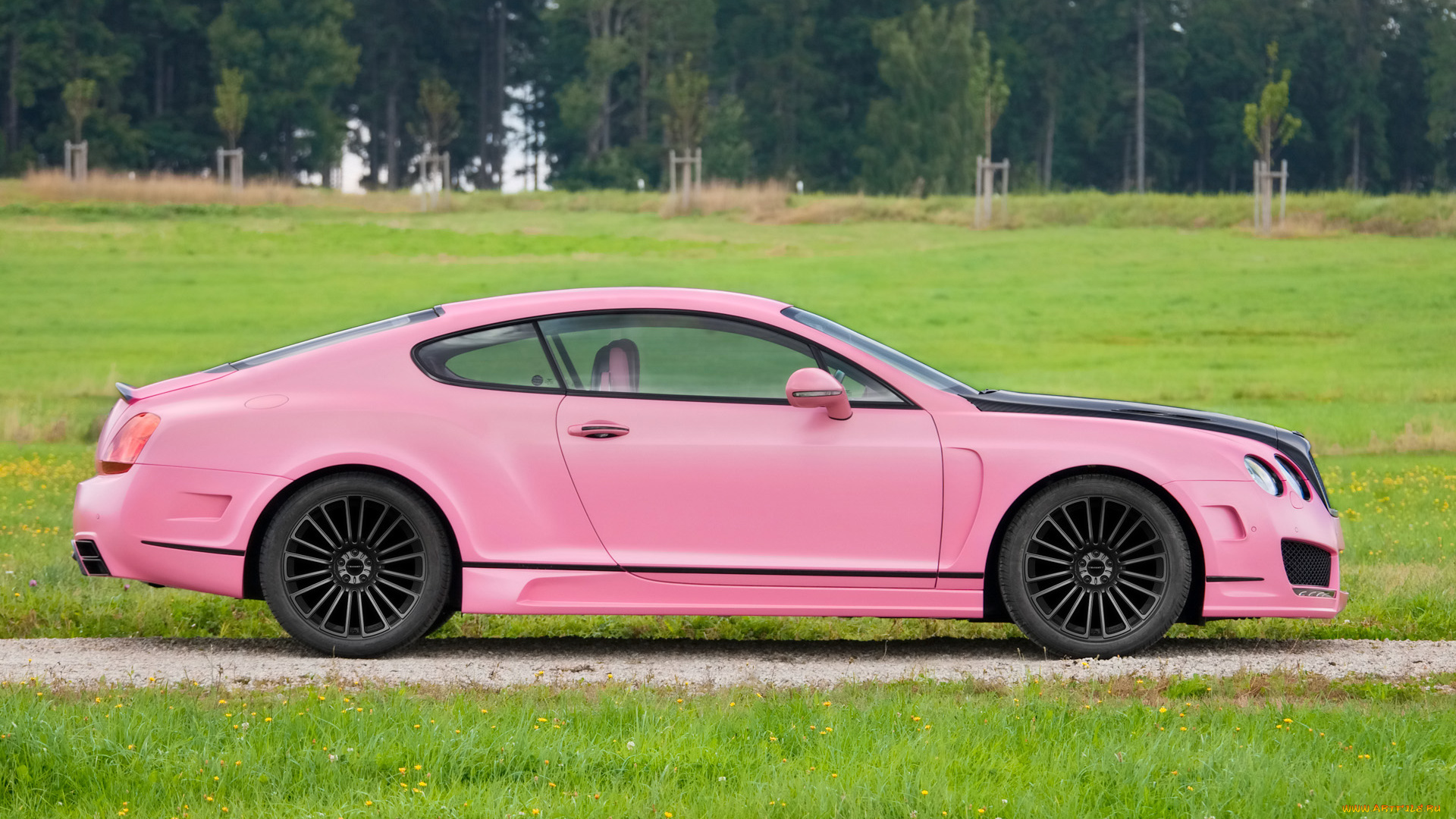 2010, mansory, bentley, vitesse, rose, автомобили